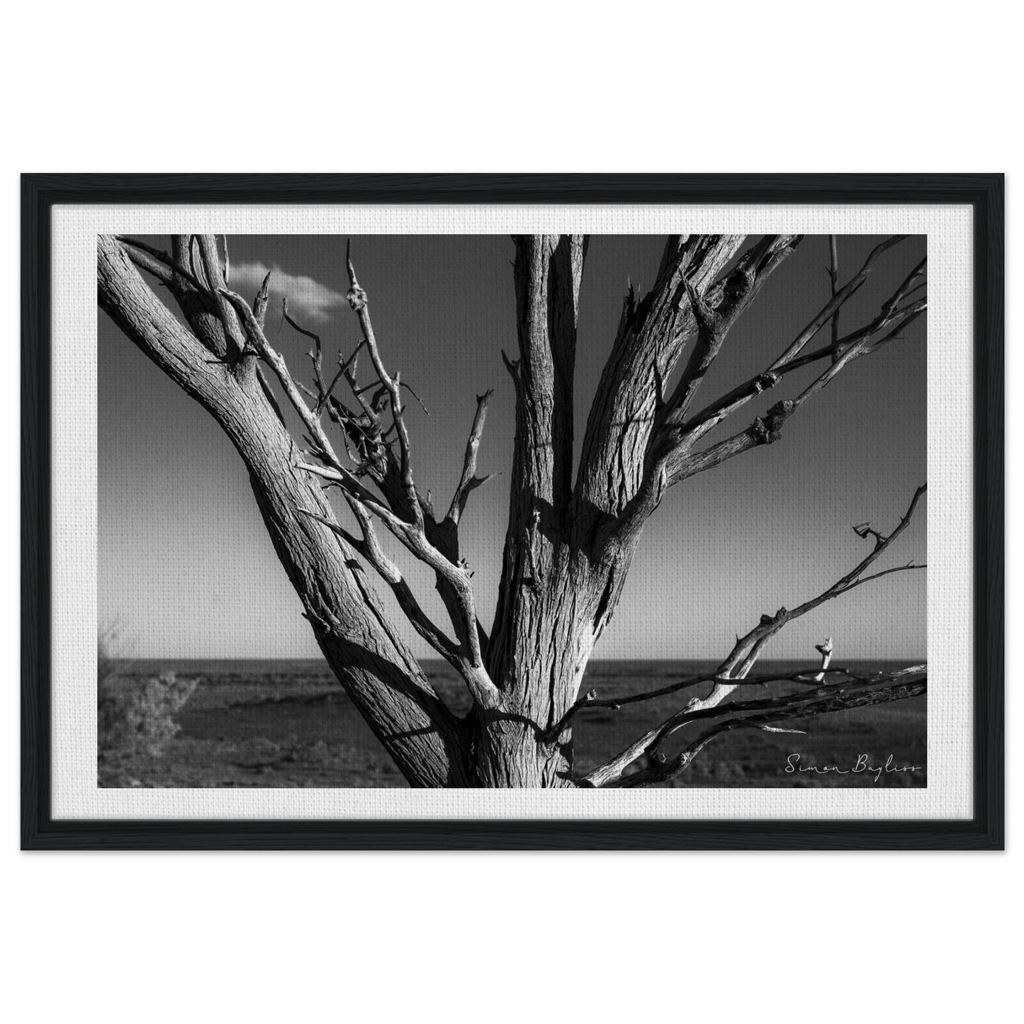 34e3a056-4527-4d6e-a972-082e413b409b