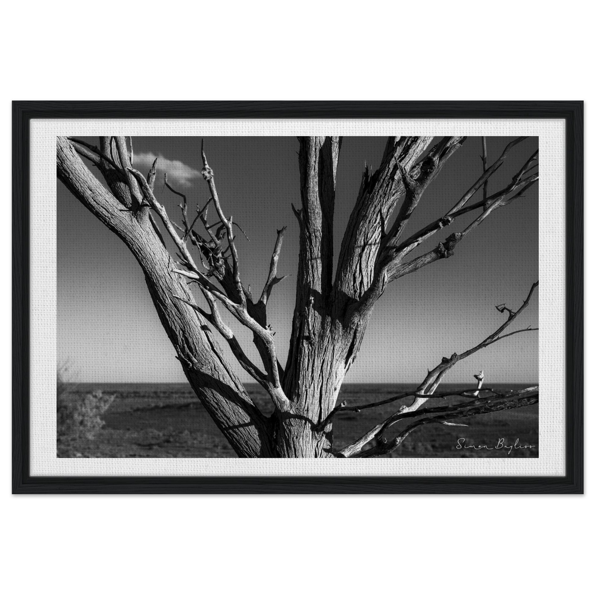 34e3a056-4527-4d6e-a972-082e413b409b