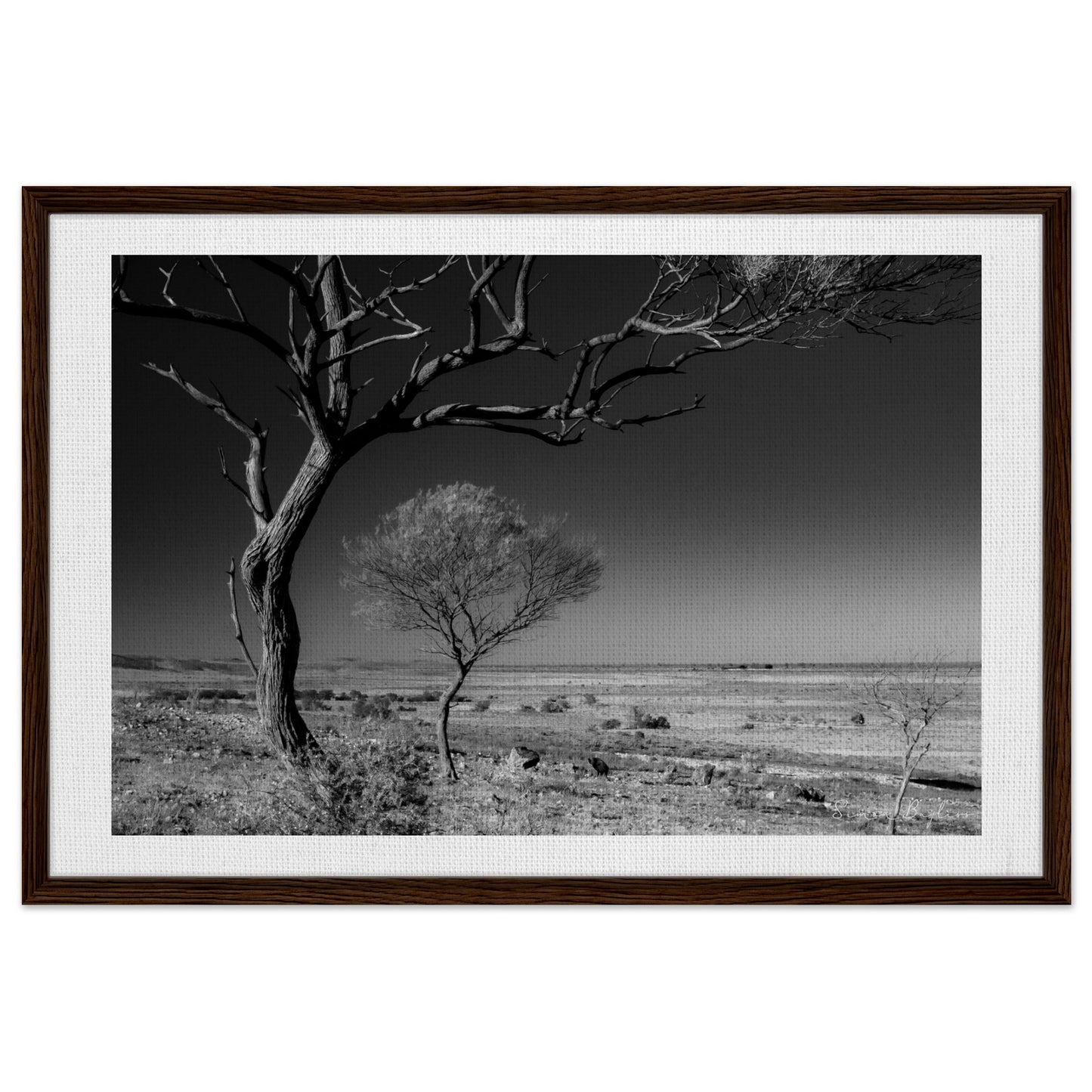 3586231e-3739-4b3b-b5d4-97f2eea5302b