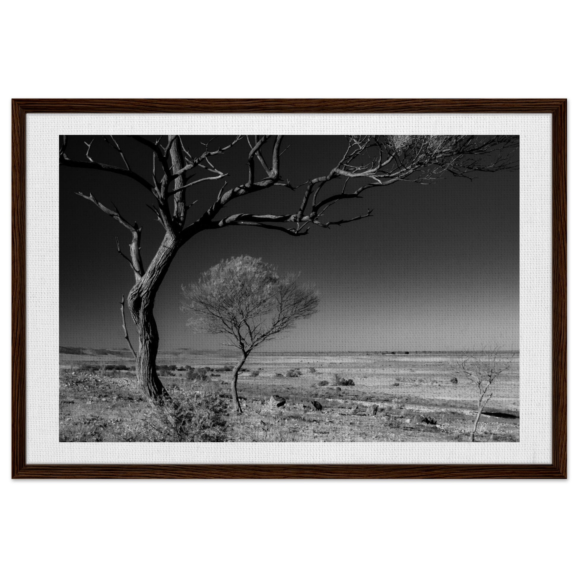 3586231e-3739-4b3b-b5d4-97f2eea5302b