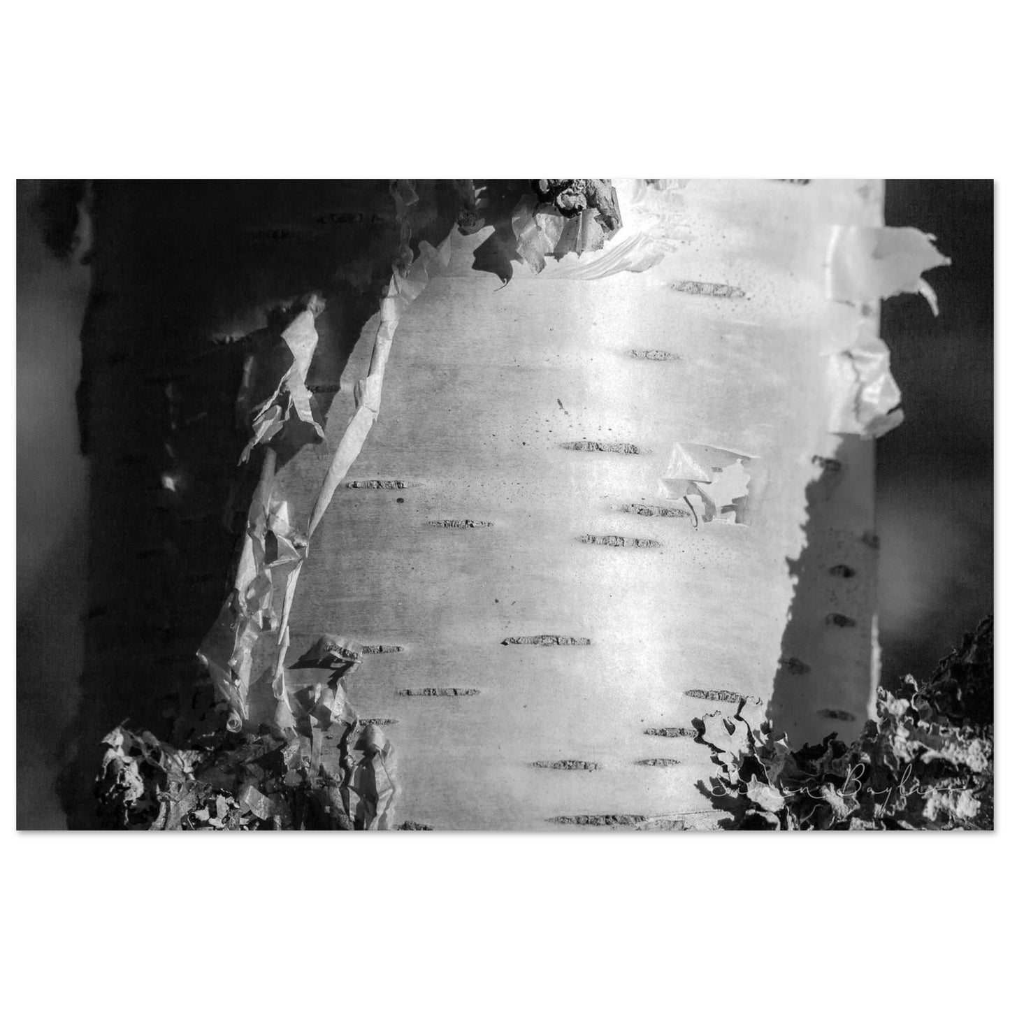 35901396-bb86-43eb-b7ce-f89f70c5b457