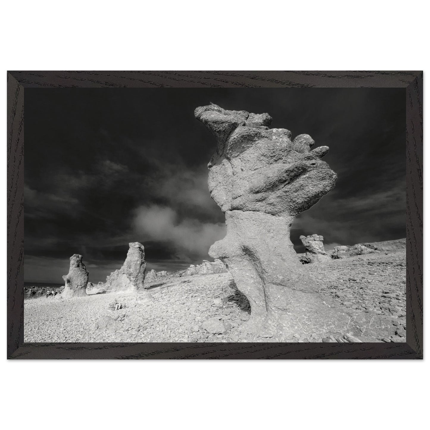 35bcb829-6b3f-4e10-847f-ece48d900376