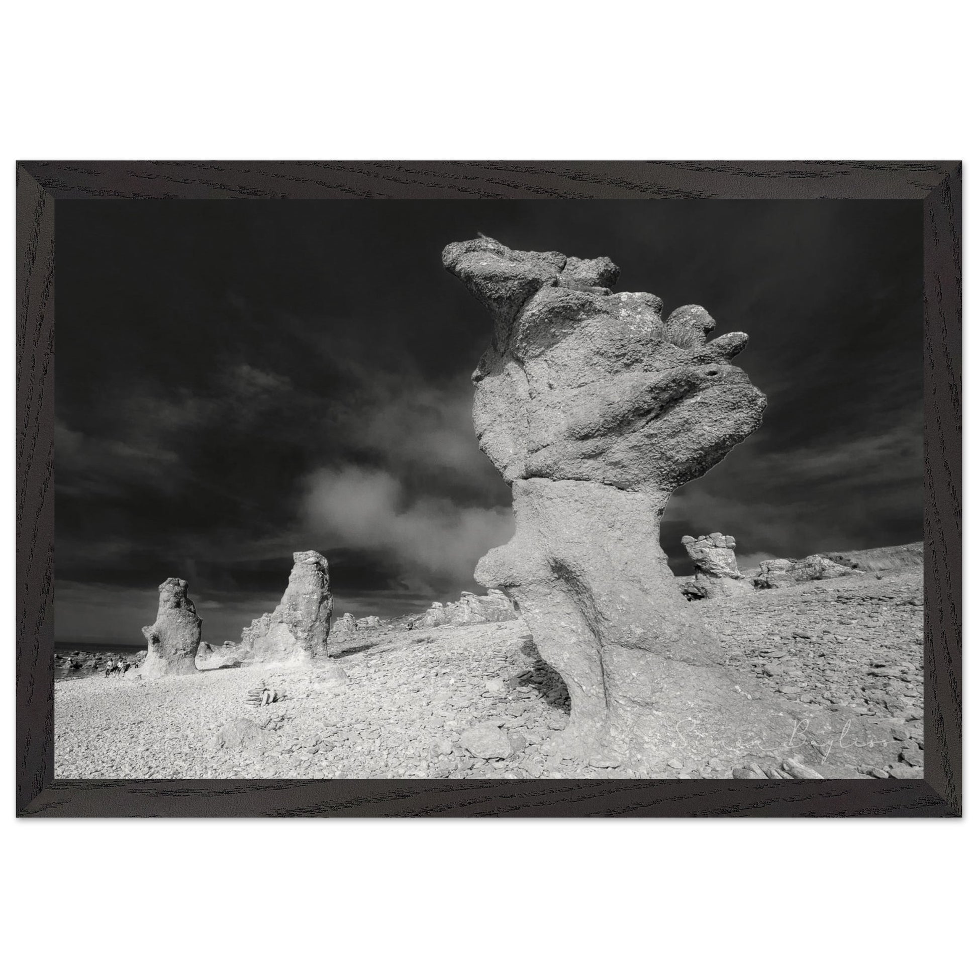 35bcb829-6b3f-4e10-847f-ece48d900376