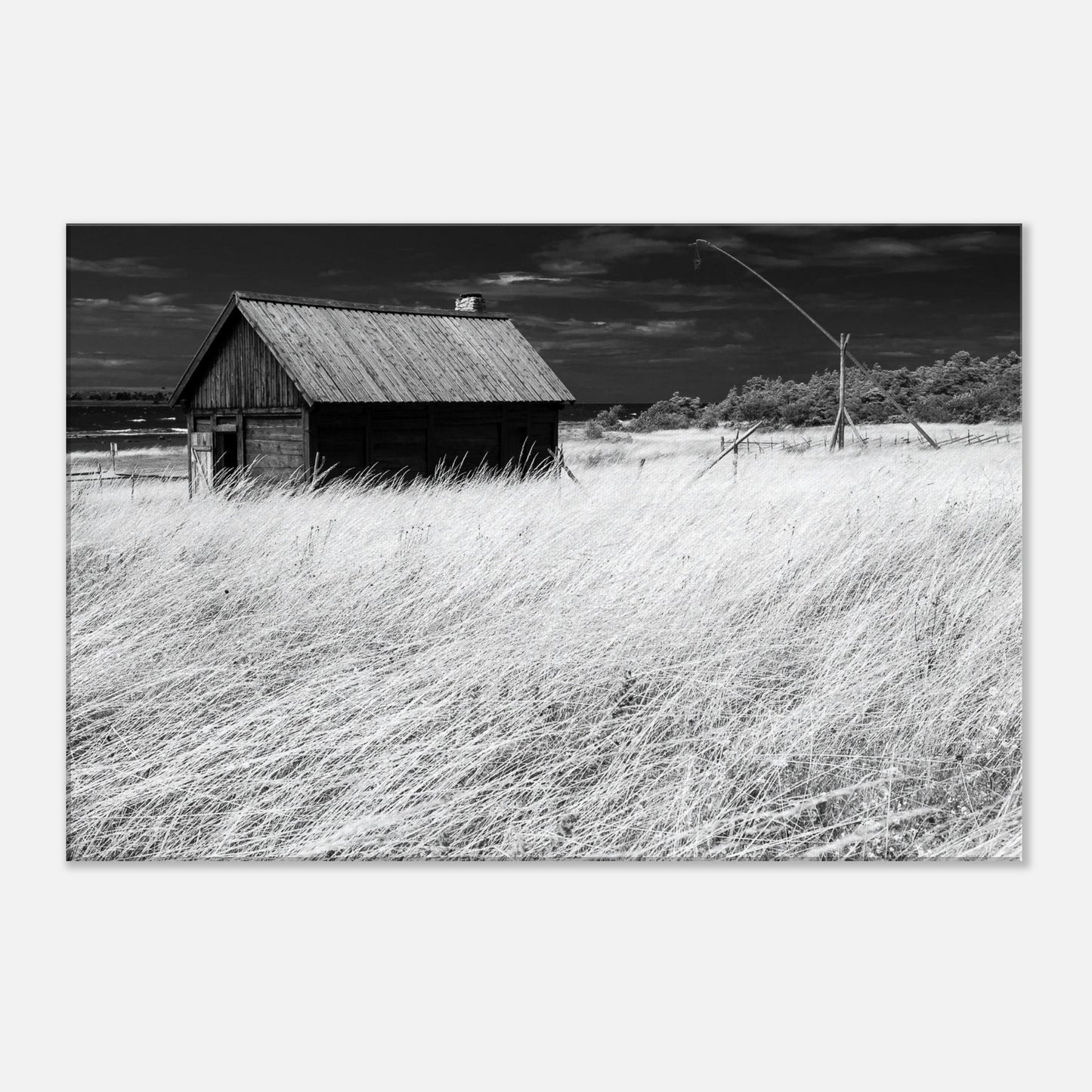 3628afe9-8c2c-4571-bcd8-e8f544cc46bc