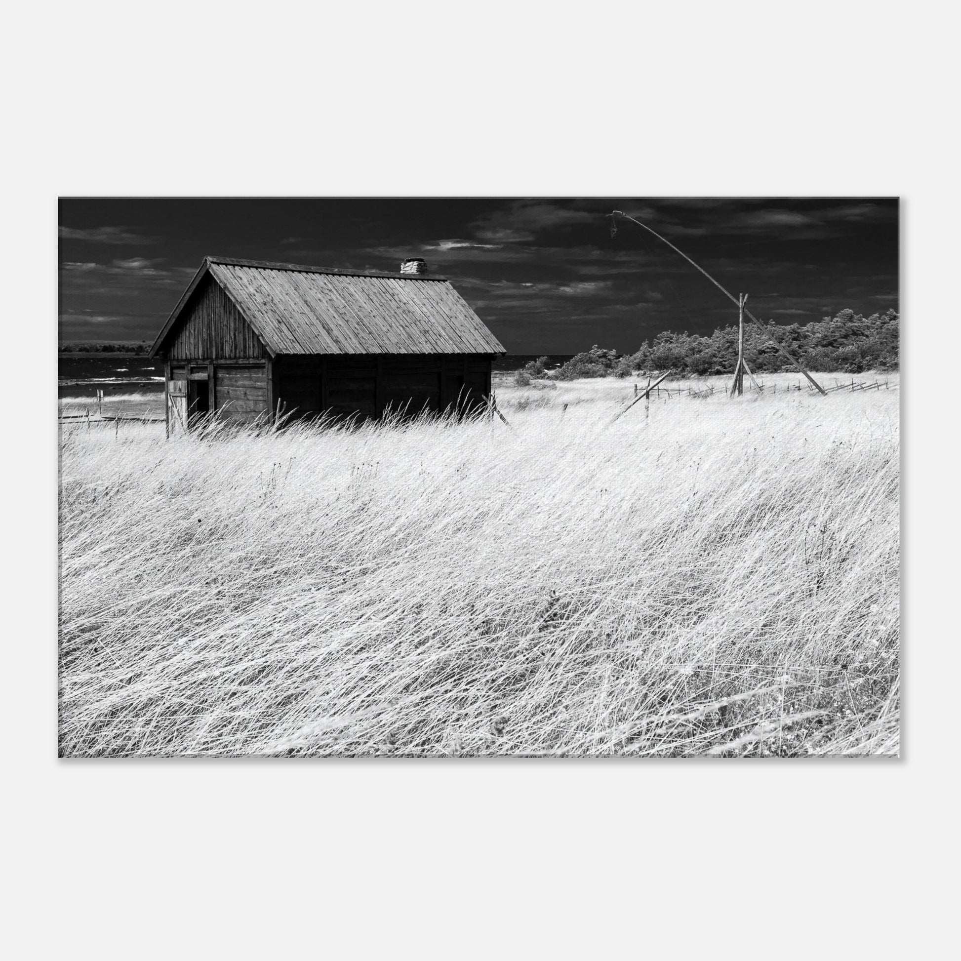 3628afe9-8c2c-4571-bcd8-e8f544cc46bc