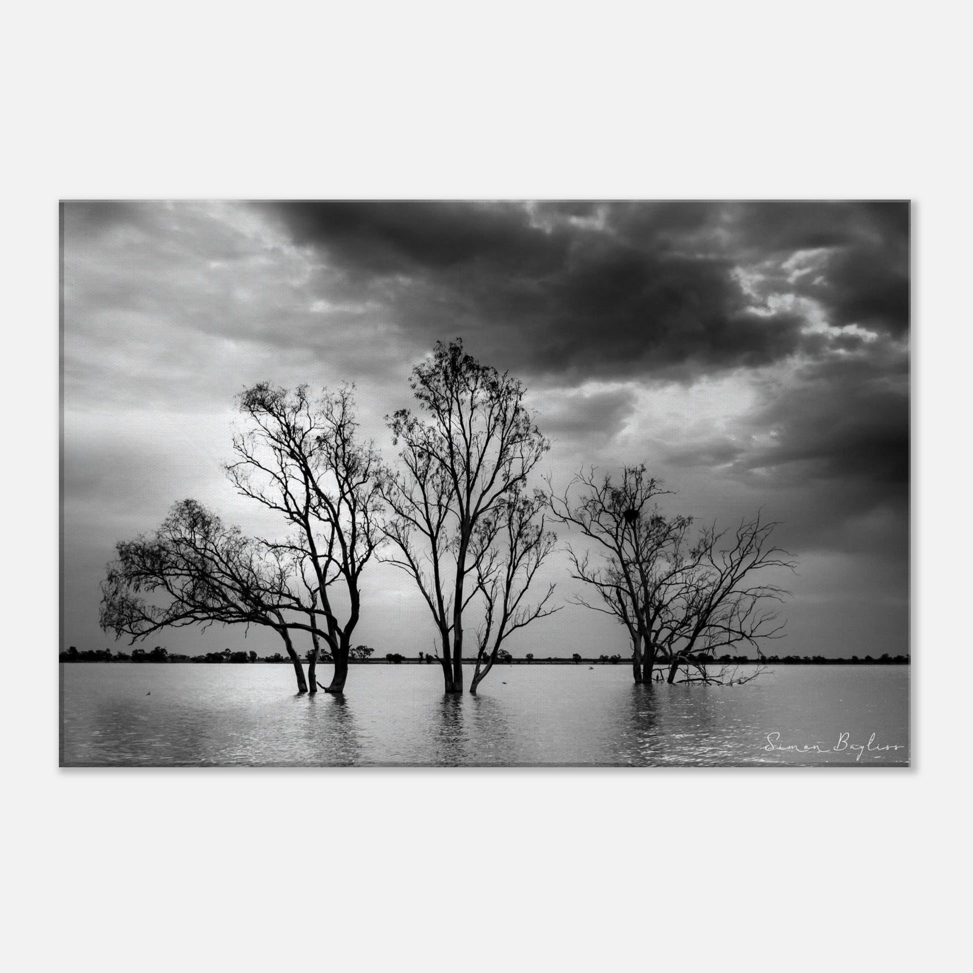 36e6ab84-fd90-4e5e-9c14-de9324c699d6