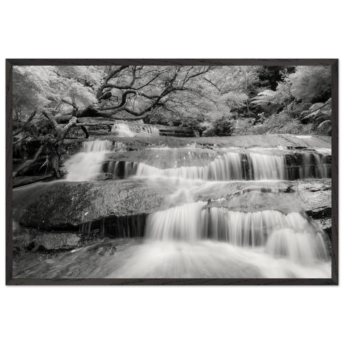 3714328c-0f65-4c2c-9efe-ffb209d73707