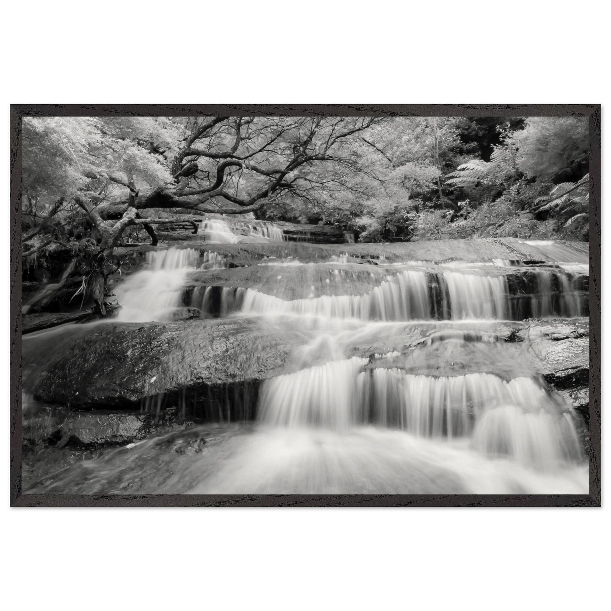 3714328c-0f65-4c2c-9efe-ffb209d73707