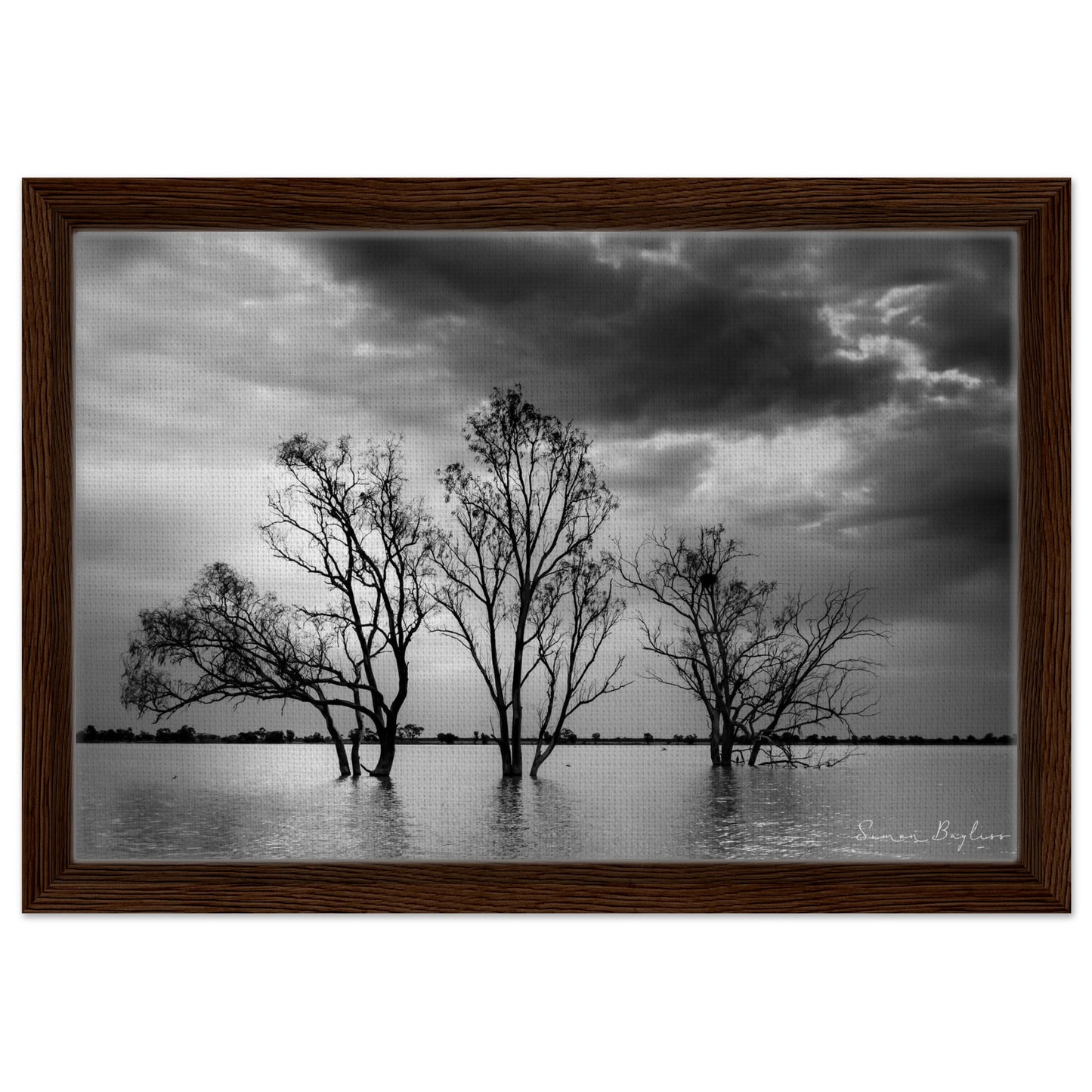 379d1877-3b97-4e90-81eb-3b6e69068ece