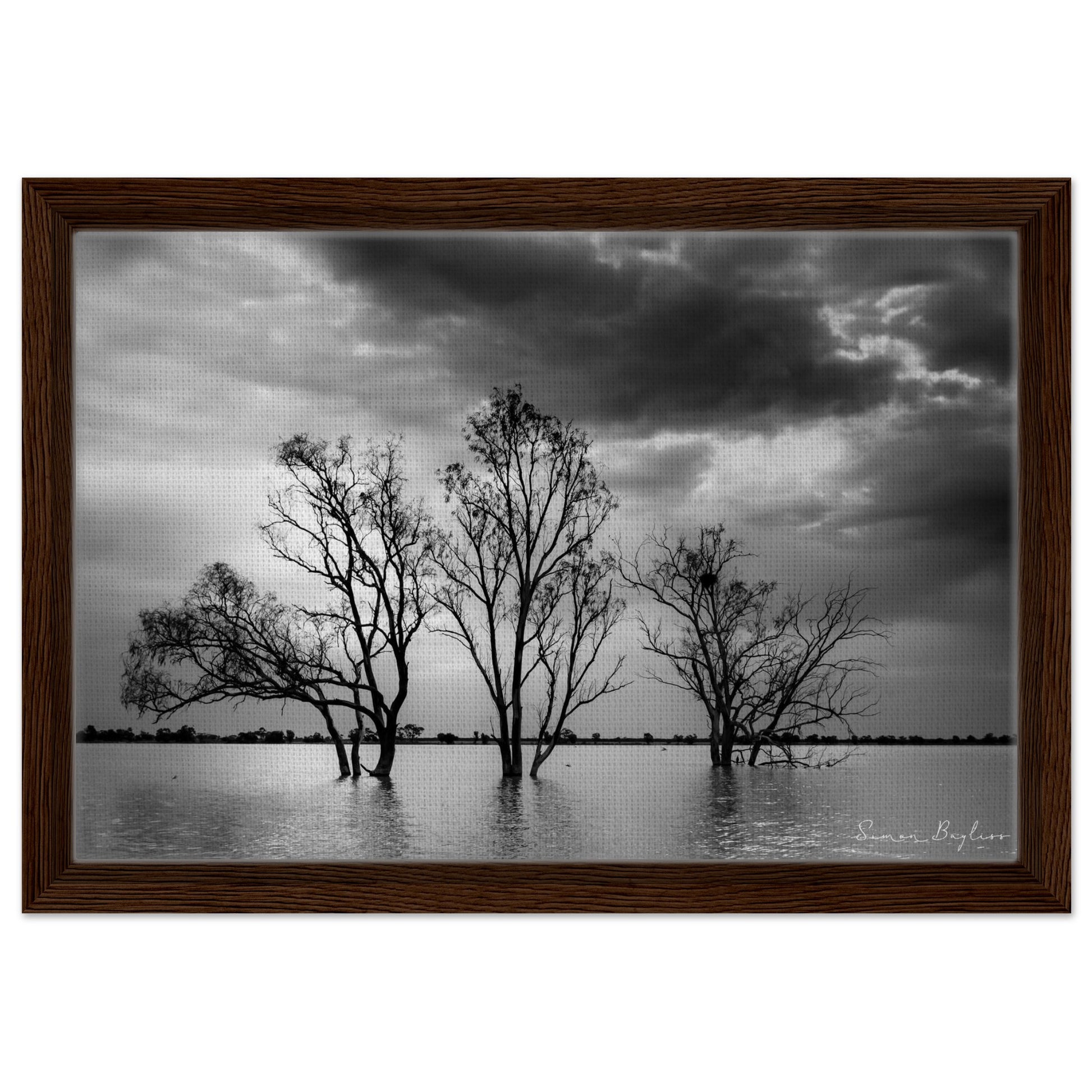 379d1877-3b97-4e90-81eb-3b6e69068ece