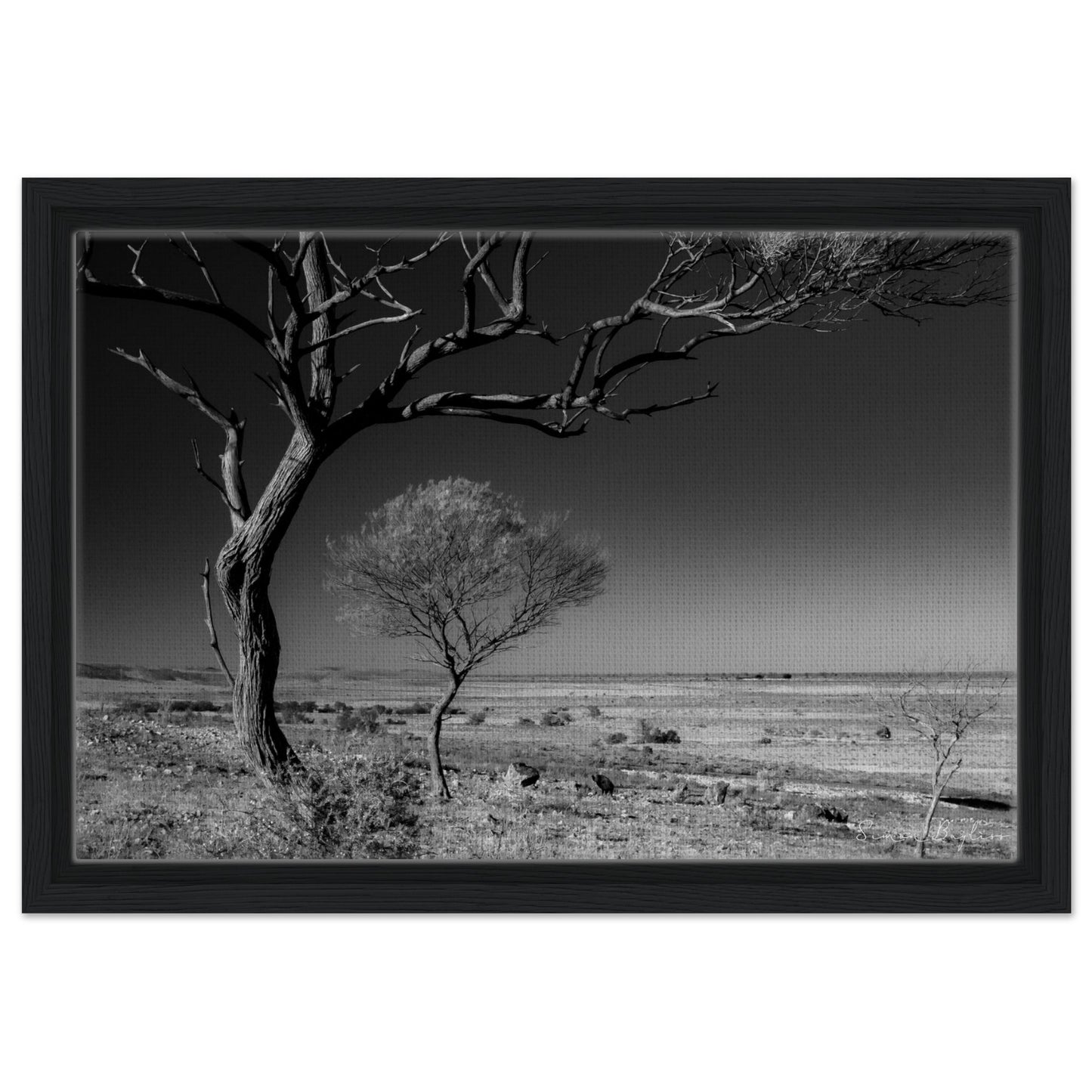 37bfd6c5-6bbc-4462-9a13-3a704cf7ebe2