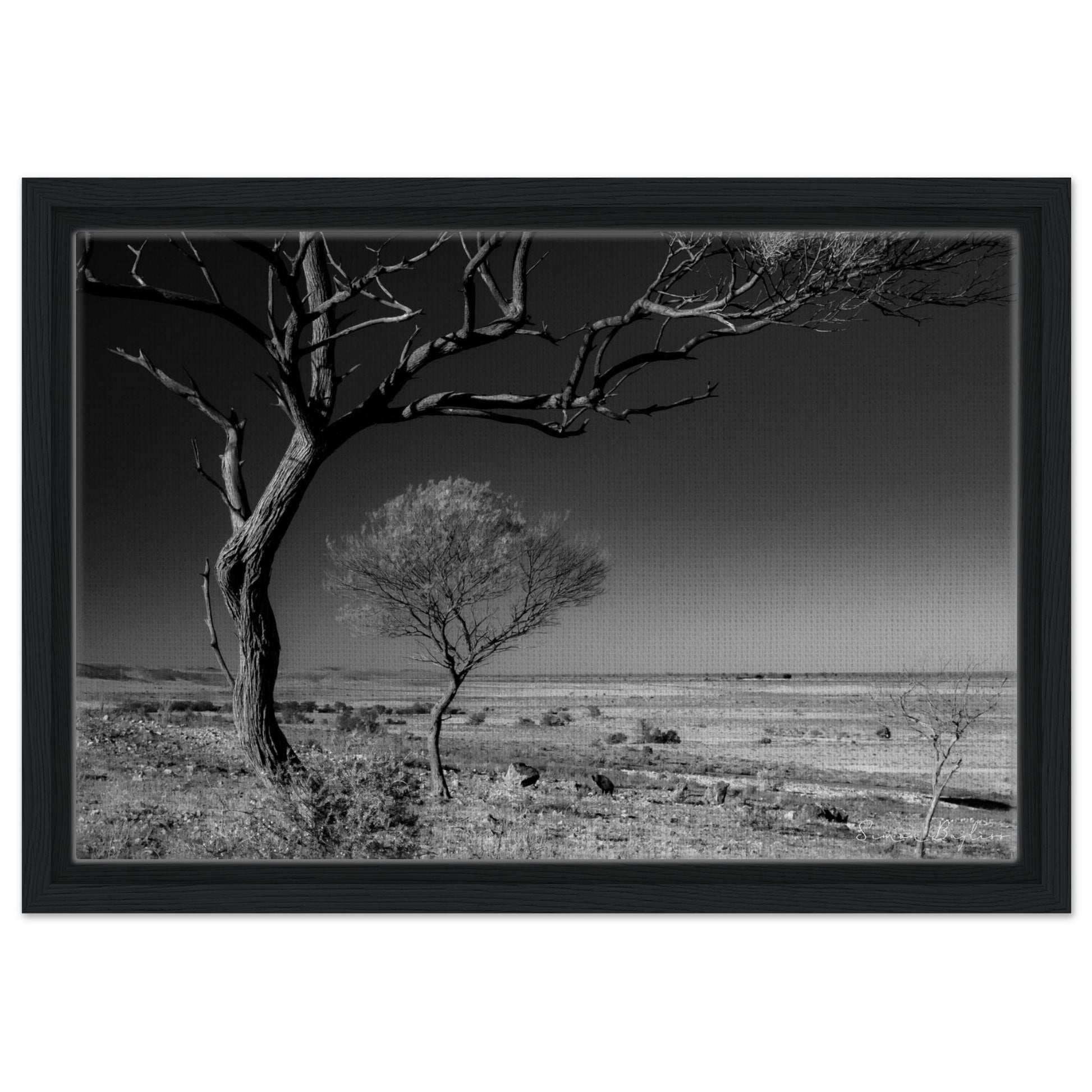 37bfd6c5-6bbc-4462-9a13-3a704cf7ebe2