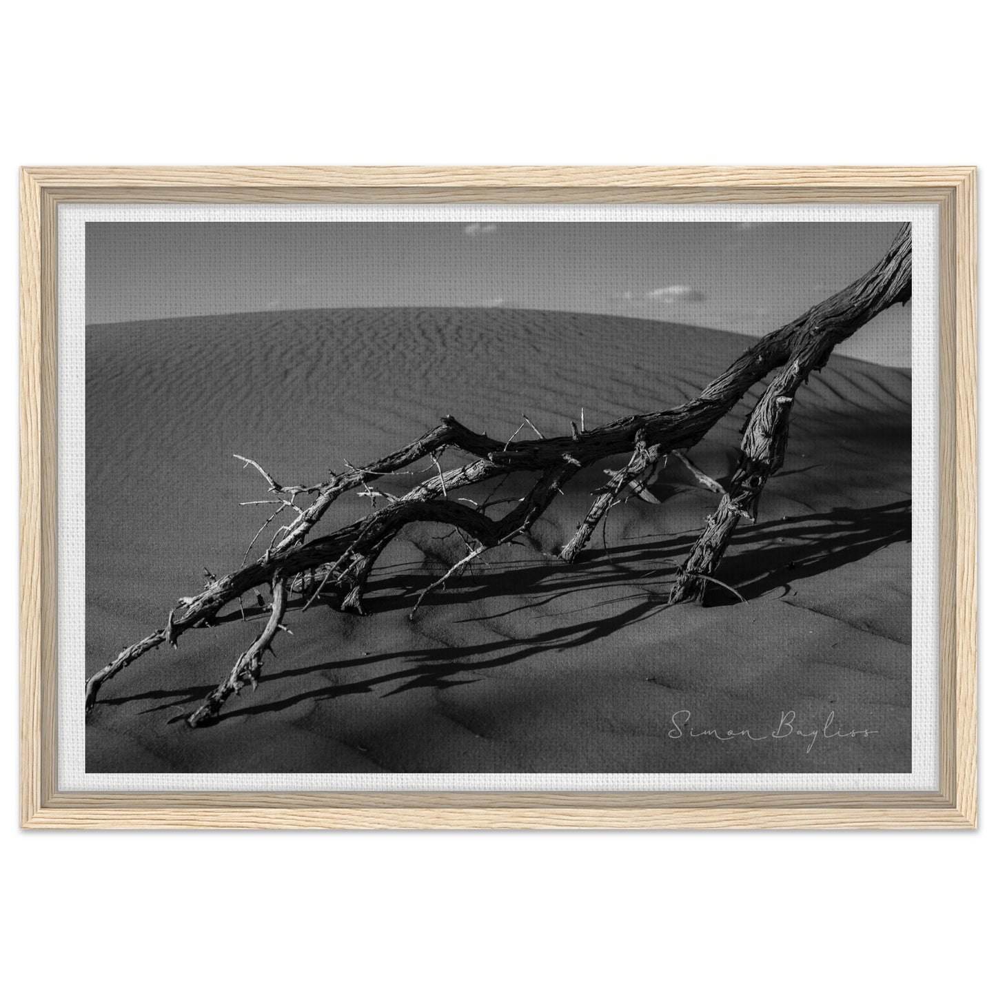 395089b9-df6f-4b57-afbf-b6cfce6f4093