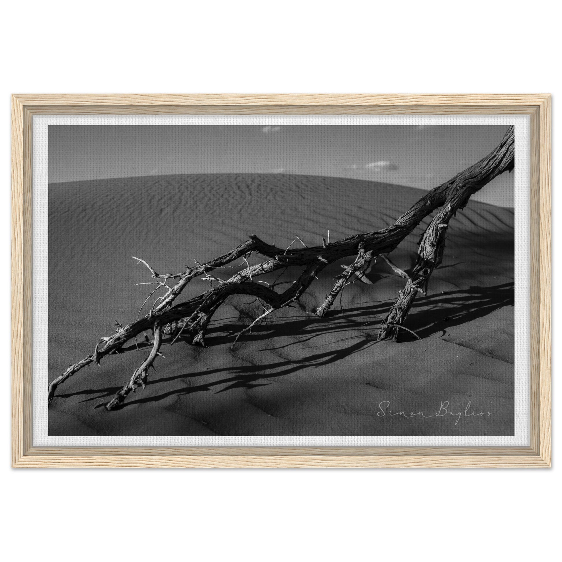 395089b9-df6f-4b57-afbf-b6cfce6f4093