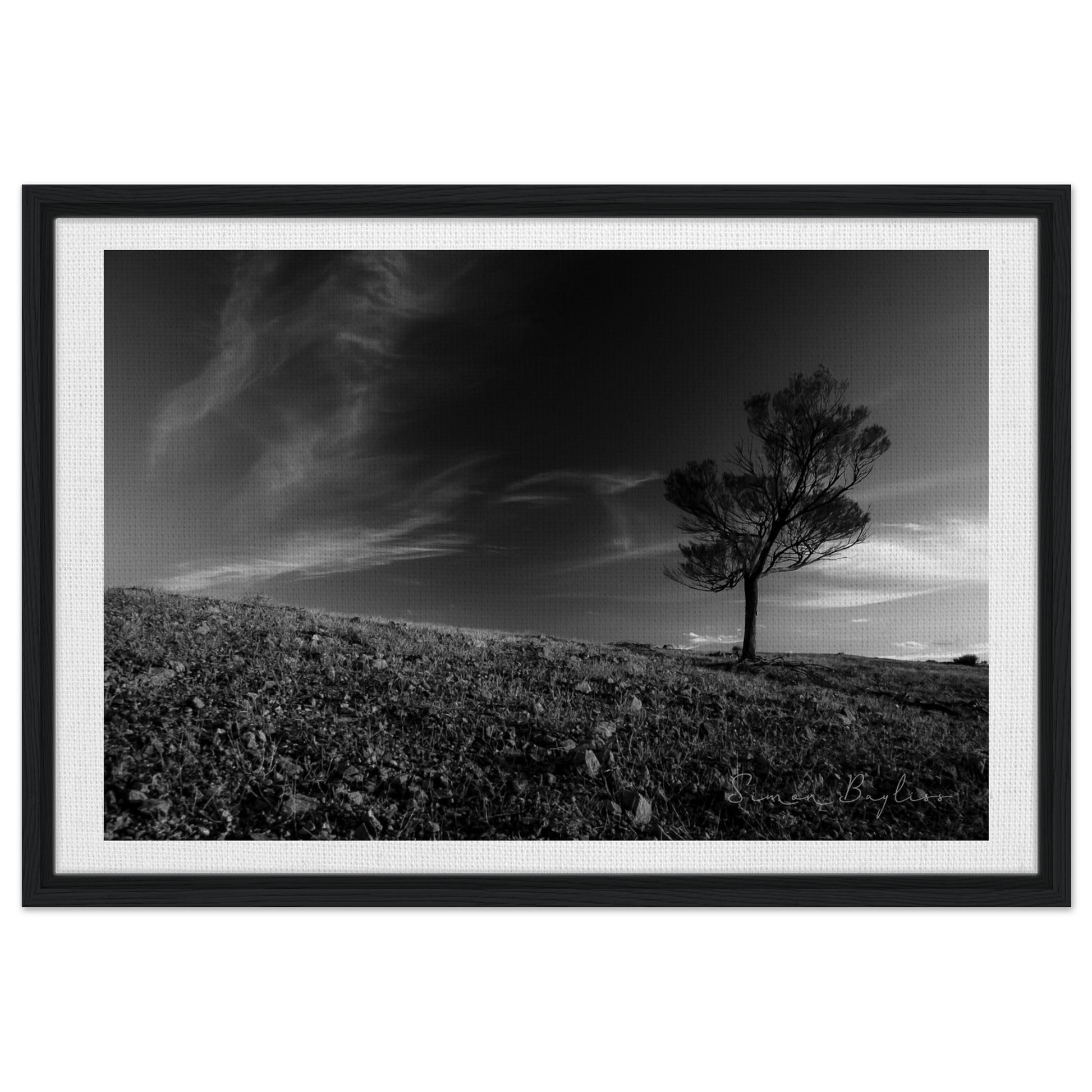 396c52af-b332-4c14-92af-9a6662c22bfc