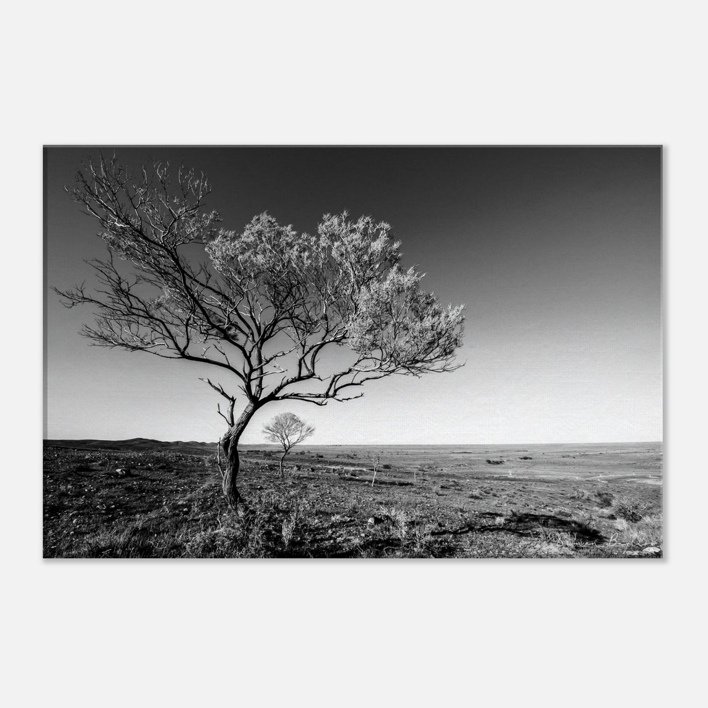 3989de04-bff2-4e75-89c3-2945bdeaf20c