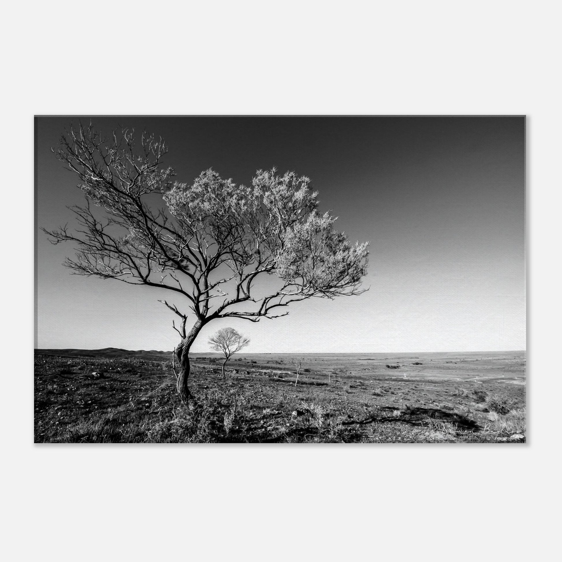 3989de04-bff2-4e75-89c3-2945bdeaf20c