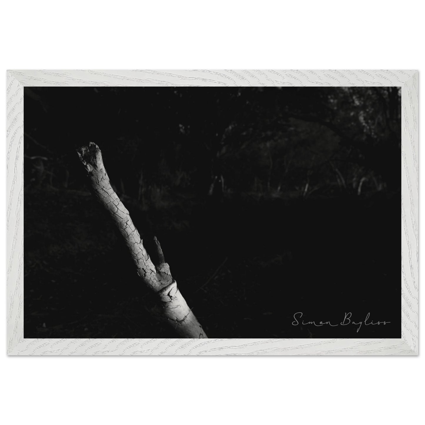 398e6142-1d22-4245-974d-adf0c77eb5a2