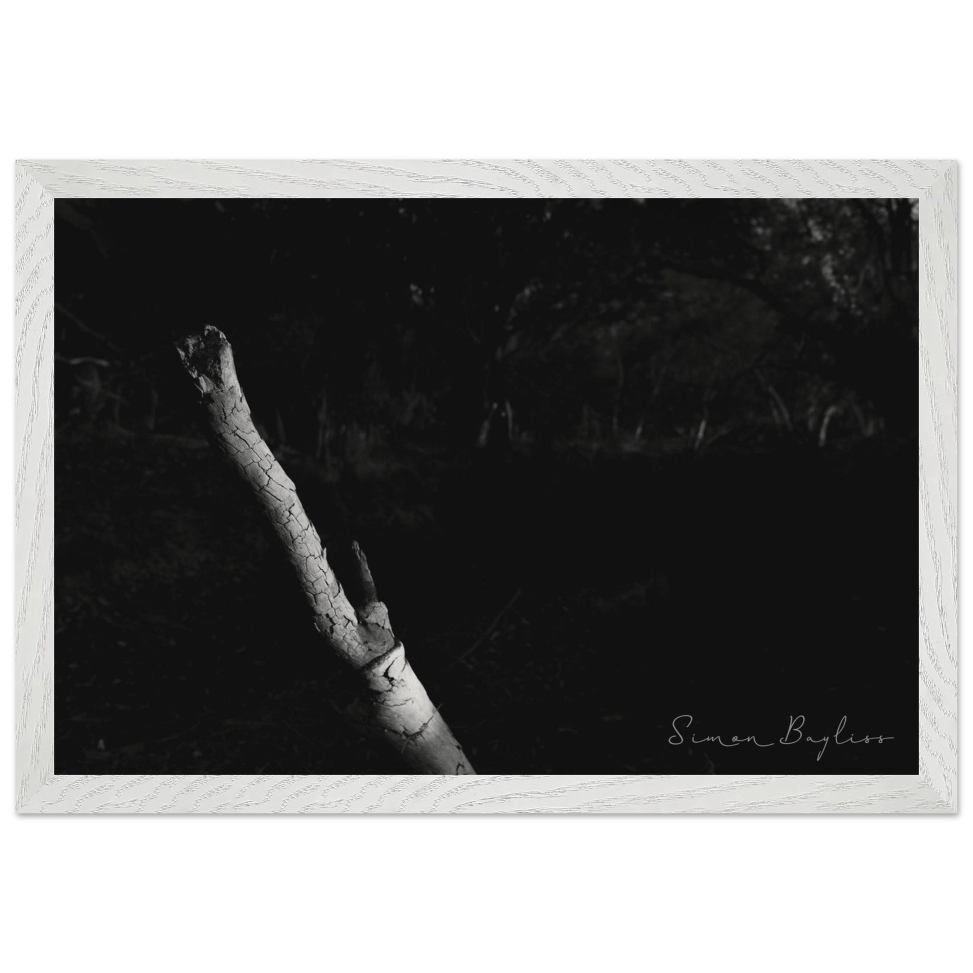 398e6142-1d22-4245-974d-adf0c77eb5a2