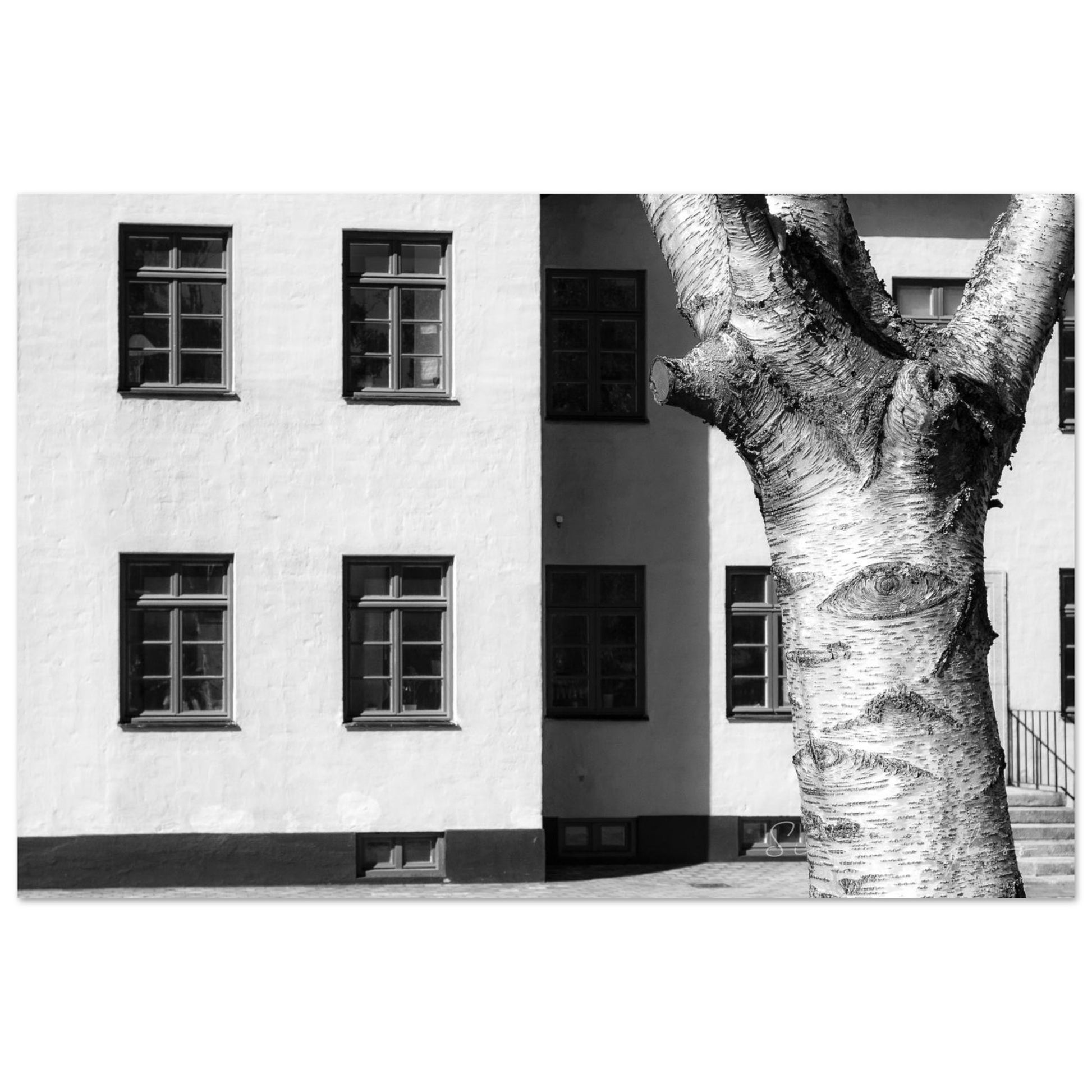 39b20251-bfcf-4196-a18f-1bc19b8257f3