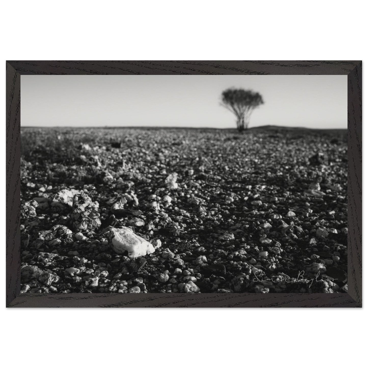 3a363439-bc30-4f2b-ba7f-0b1cf4b904d5