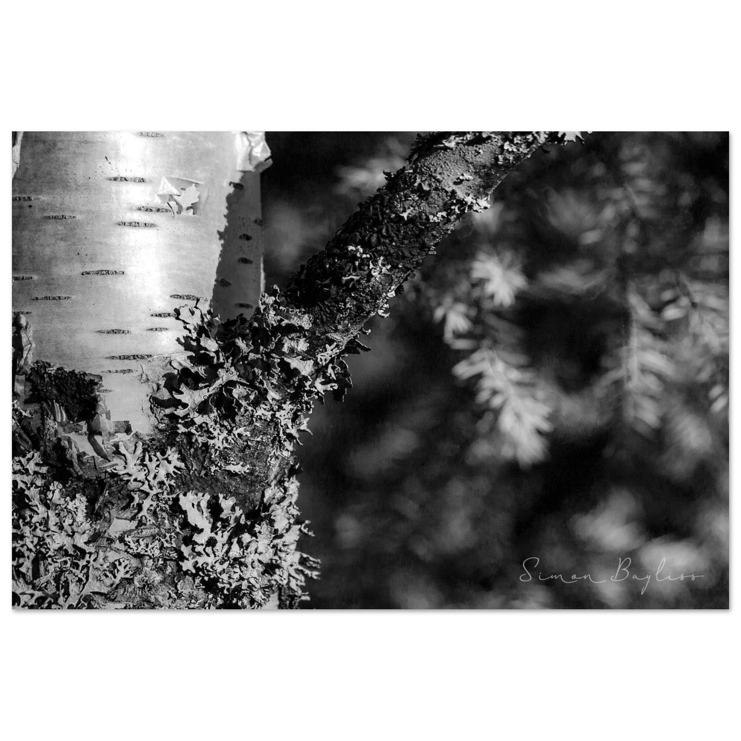 3a8d75b9-dd44-41ee-854f-d7a4c2da0d67