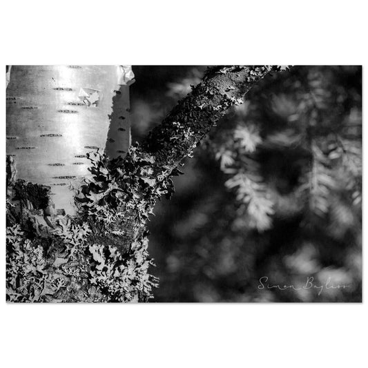 3a8d75b9-dd44-41ee-854f-d7a4c2da0d67