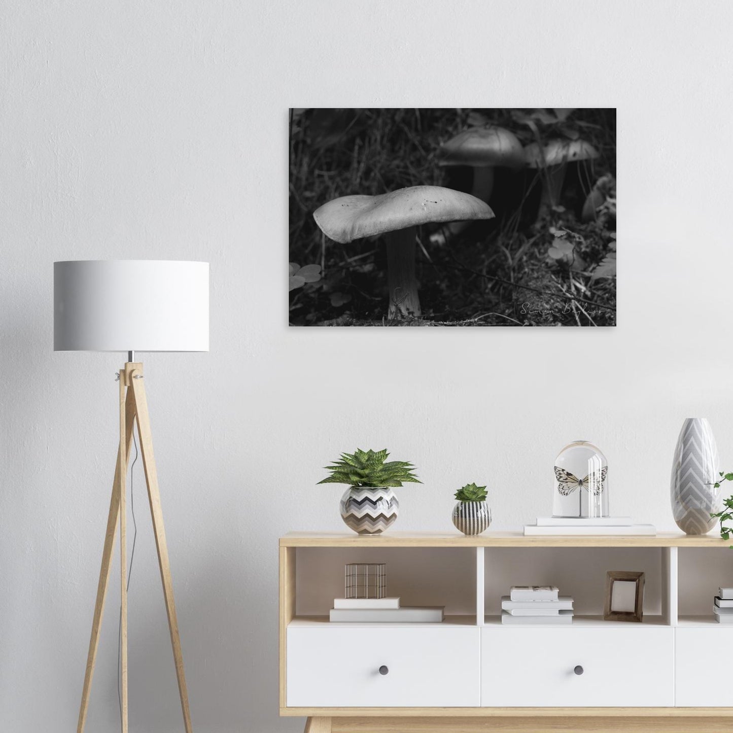 3b2fb513-52d5-49ce-9c42-07a8672c16bd