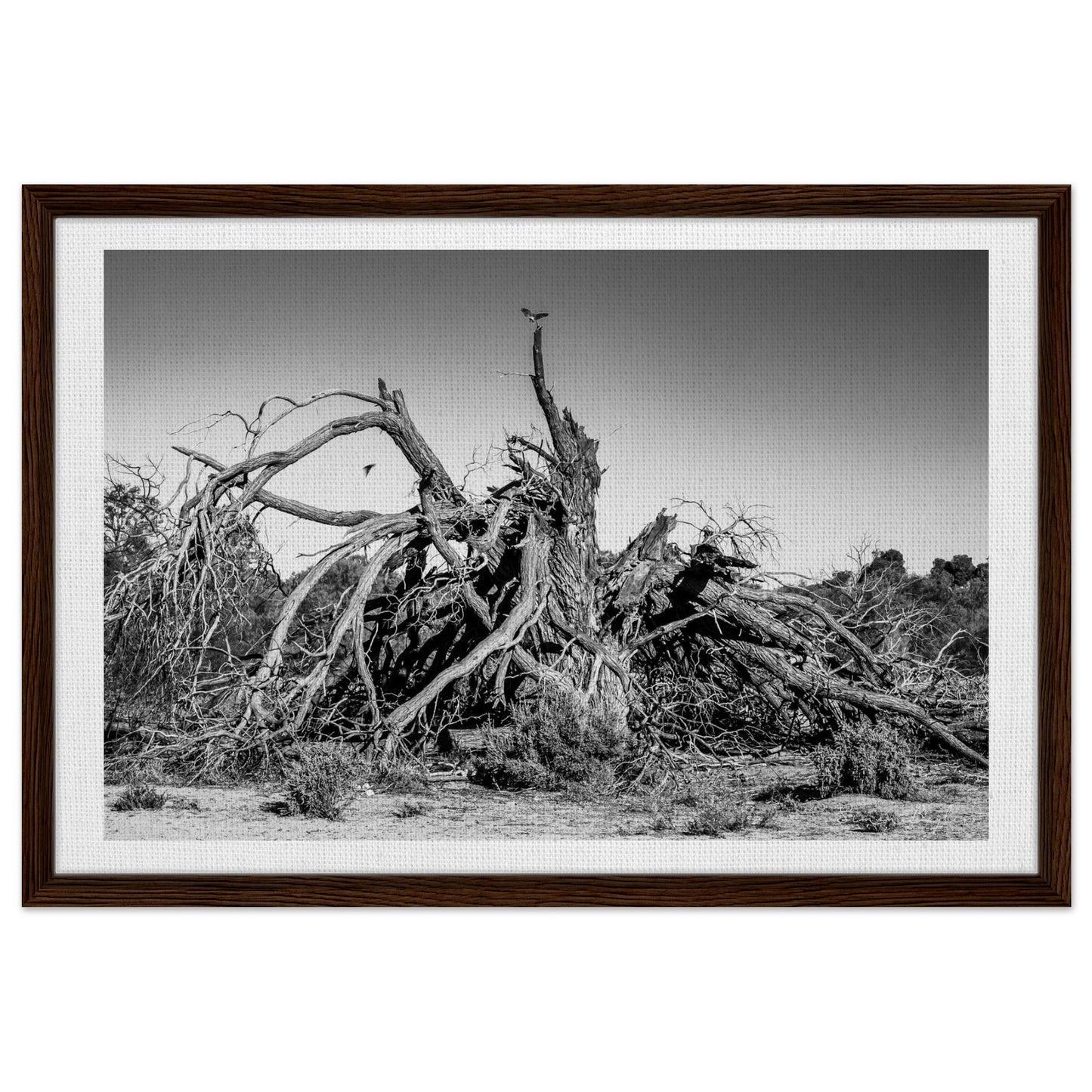 3b5ab794-9e7e-40e8-a147-50c7fd5a304c