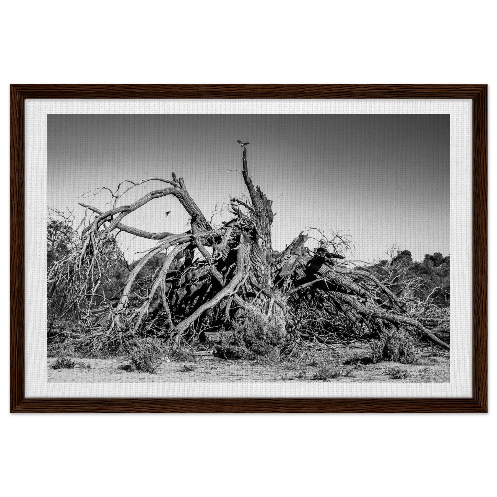 3b5ab794-9e7e-40e8-a147-50c7fd5a304c