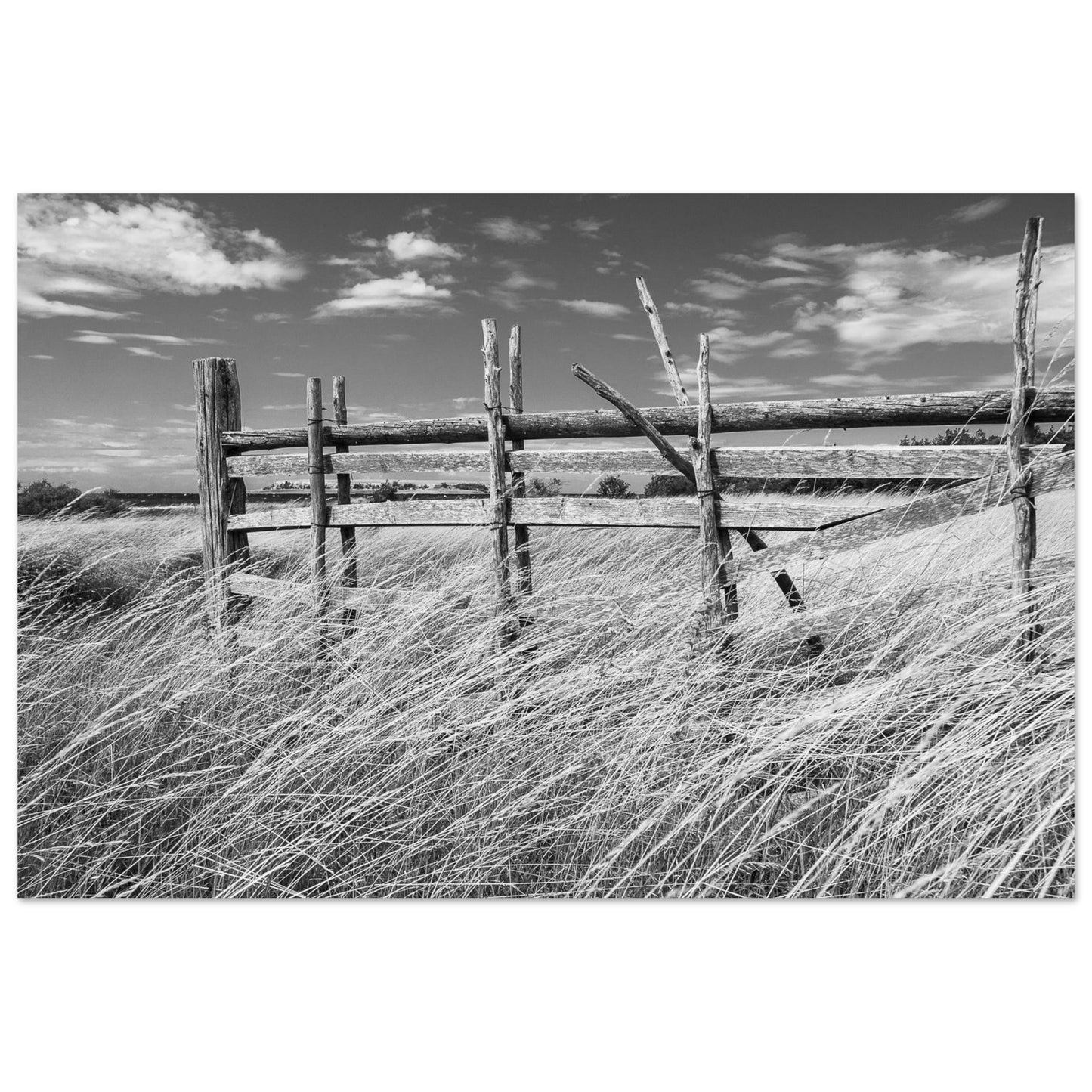 3c04a70e-4d38-43e1-b59e-e068dfd06d22