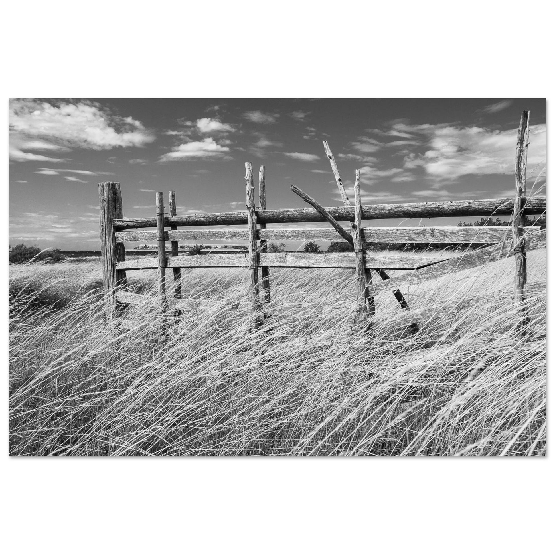 3c04a70e-4d38-43e1-b59e-e068dfd06d22