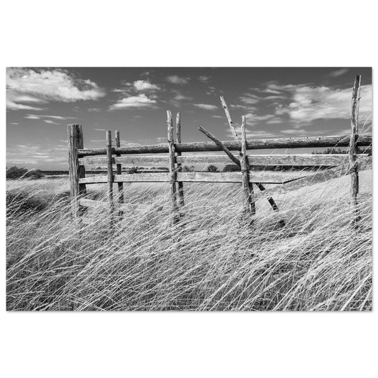 3c04a70e-4d38-43e1-b59e-e068dfd06d22