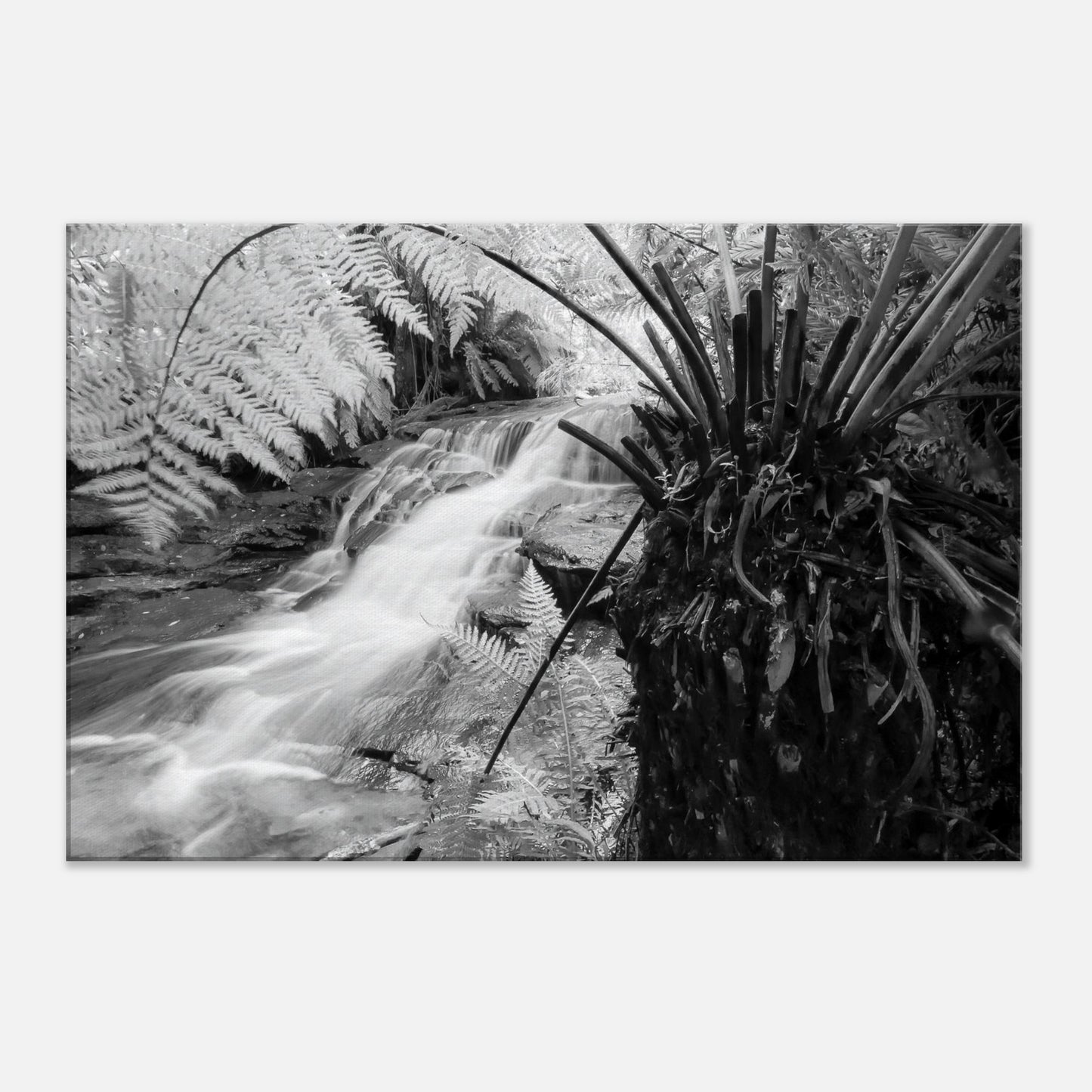 3c0eb206-86db-4c3e-baa5-efc8f0aa68e3