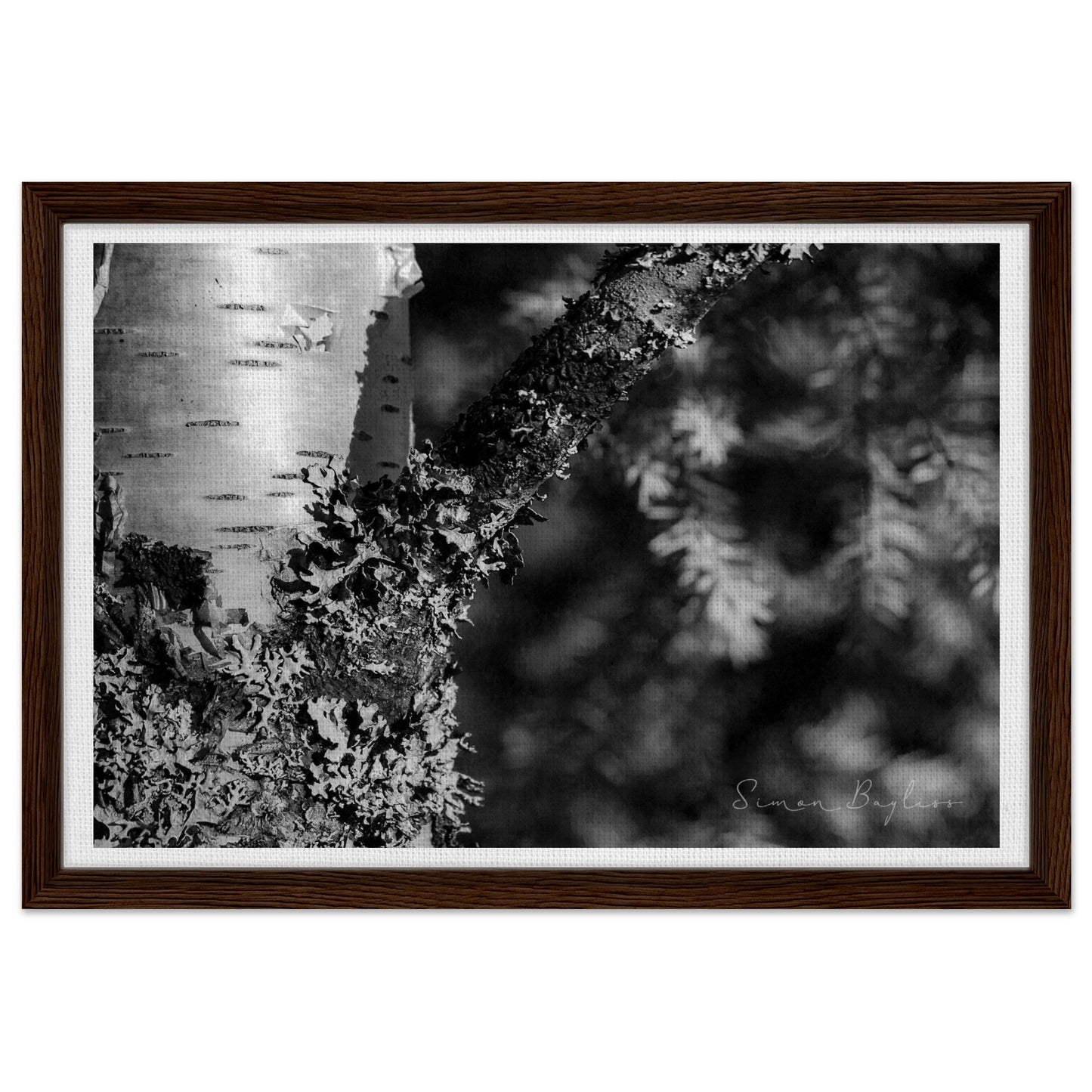 3c118f3a-150b-4bab-bb6f-0421252131e0