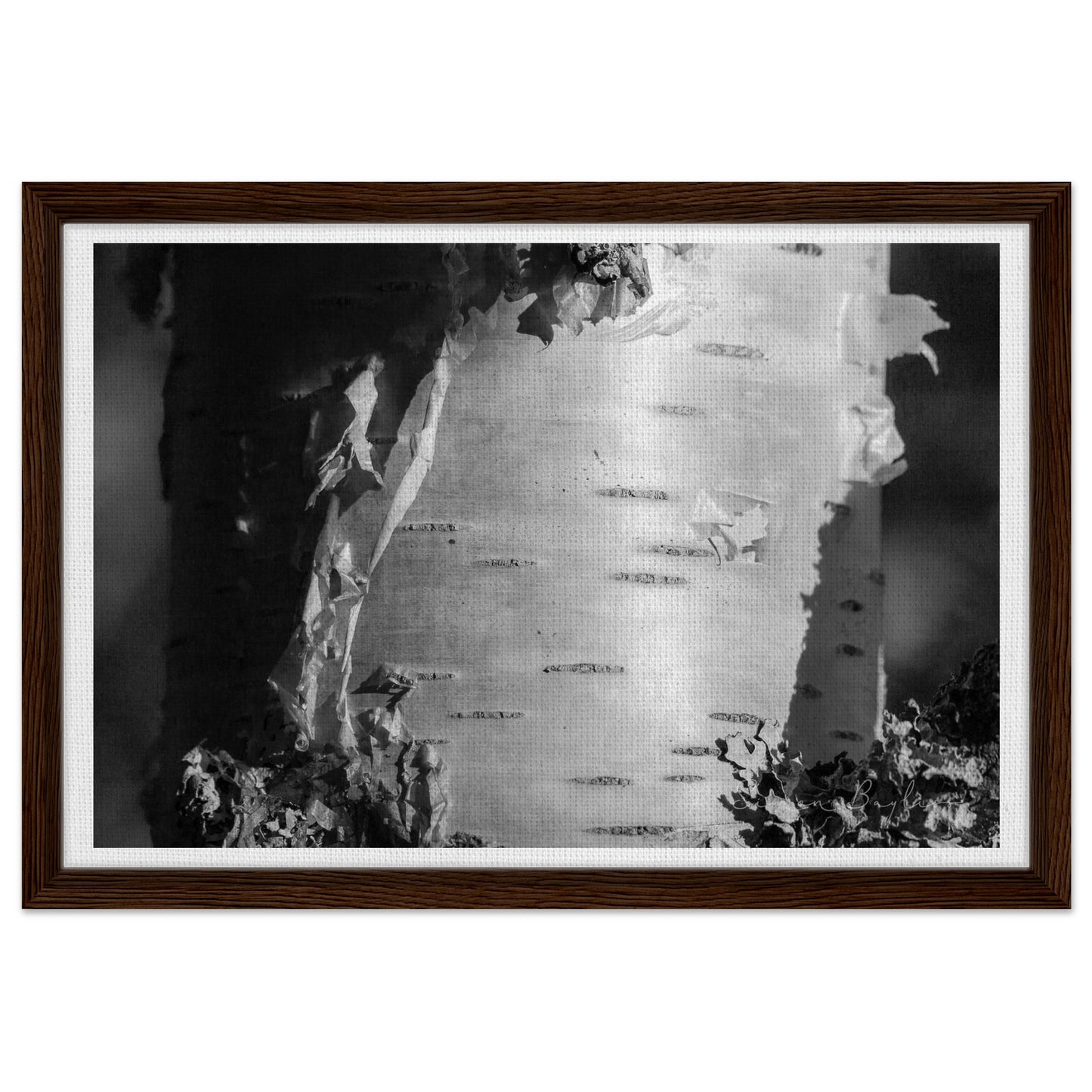 3c710641-1f6b-4abe-a002-2c3cb57b53e5