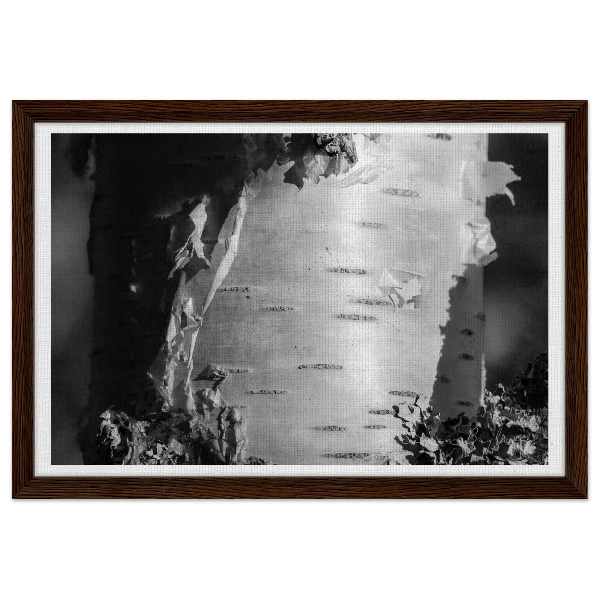 3c710641-1f6b-4abe-a002-2c3cb57b53e5