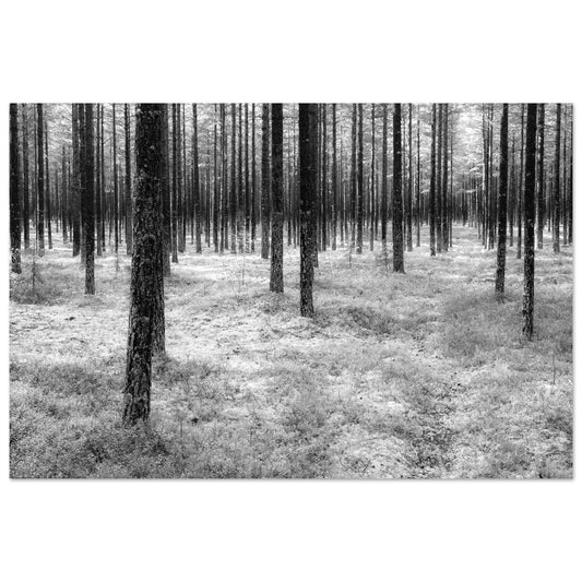 3c9fbae2-1810-43ef-88a1-0f12c76c038c