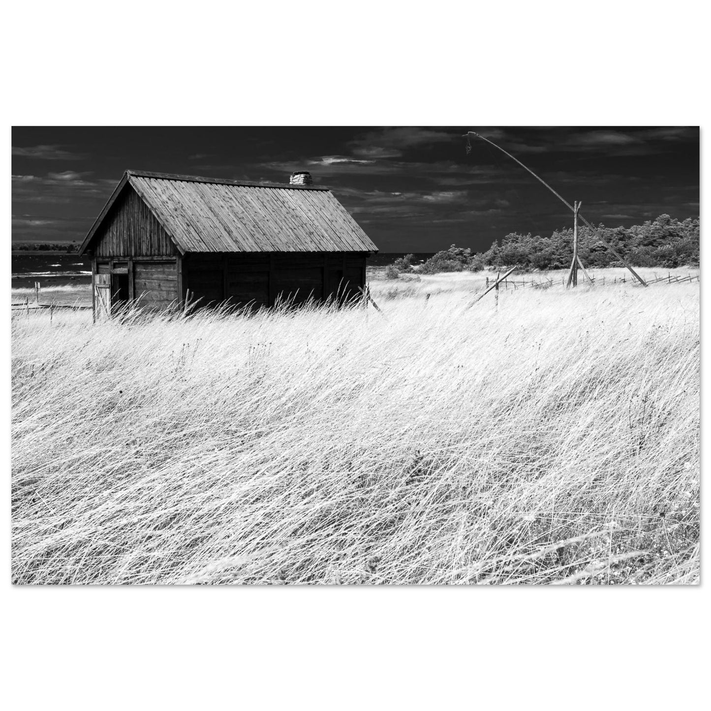 3cd60ed6-b693-4b09-884b-c658e7d57d65