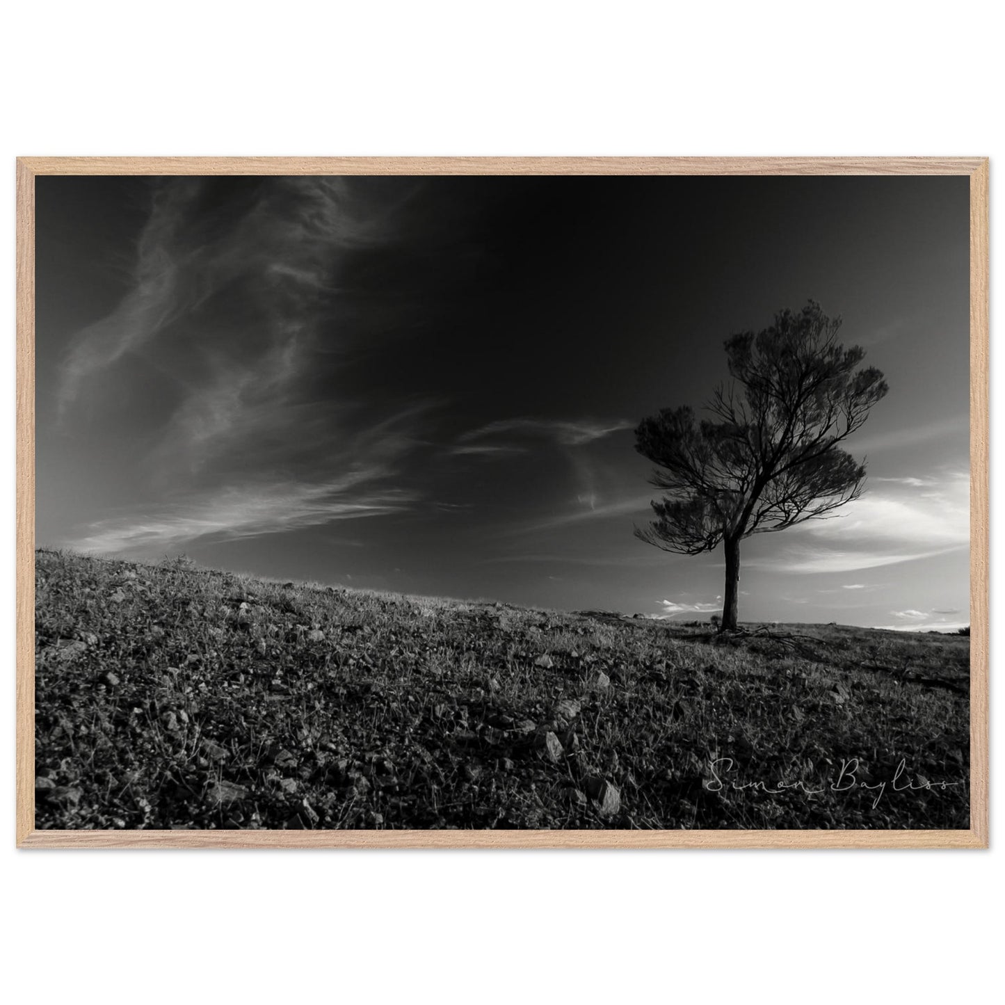 3d08afbd-411a-485f-9fb2-ae8098084eec