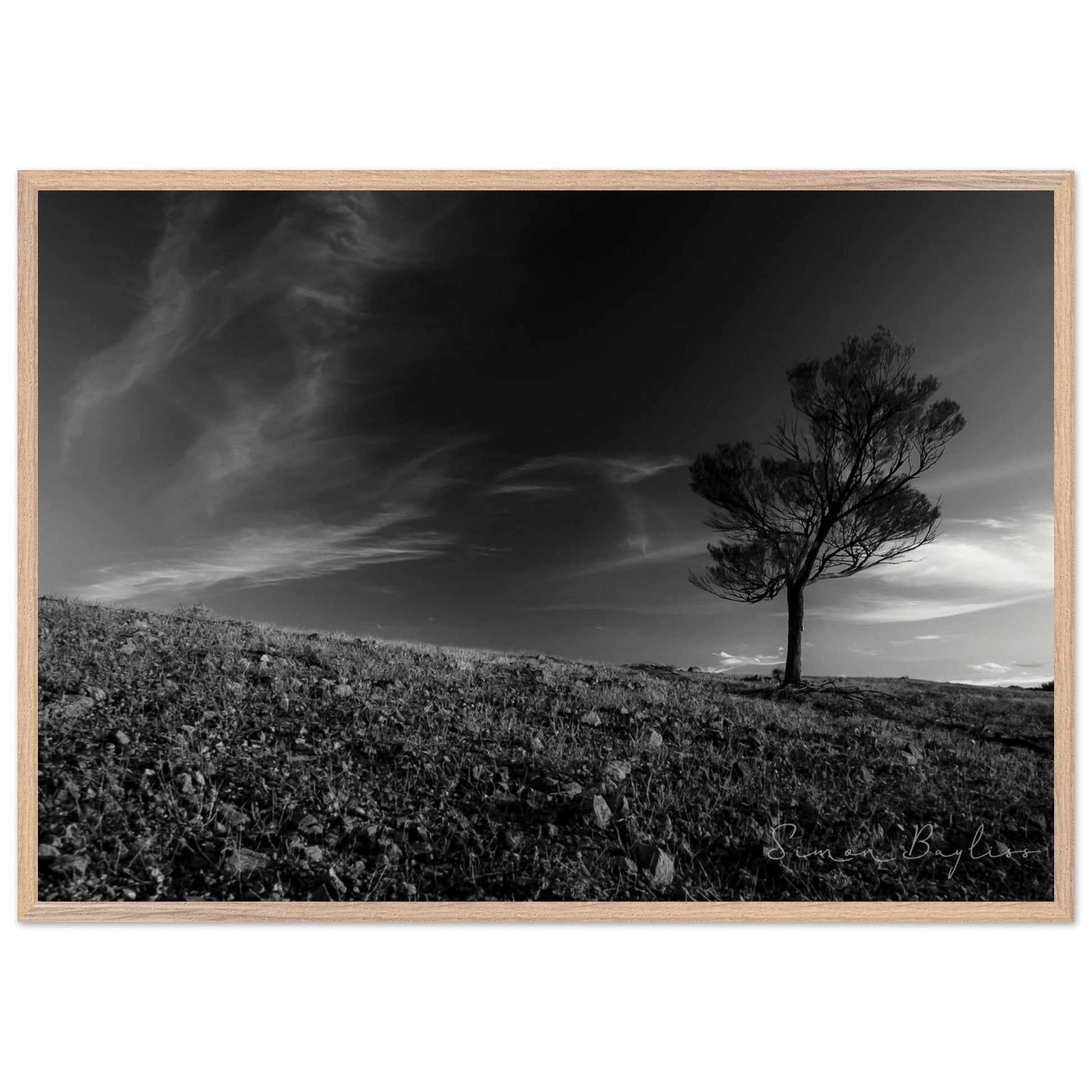 3d08afbd-411a-485f-9fb2-ae8098084eec