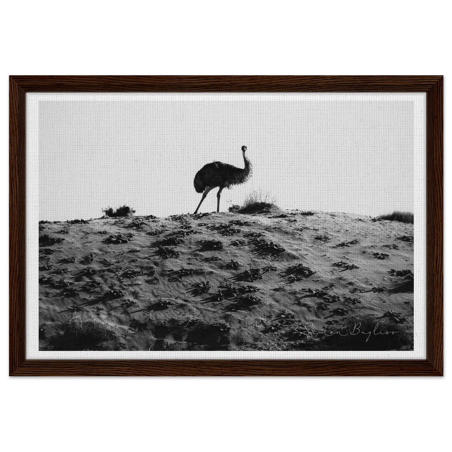 3d6c28b3-acfe-439a-983e-c3215ad2eed4