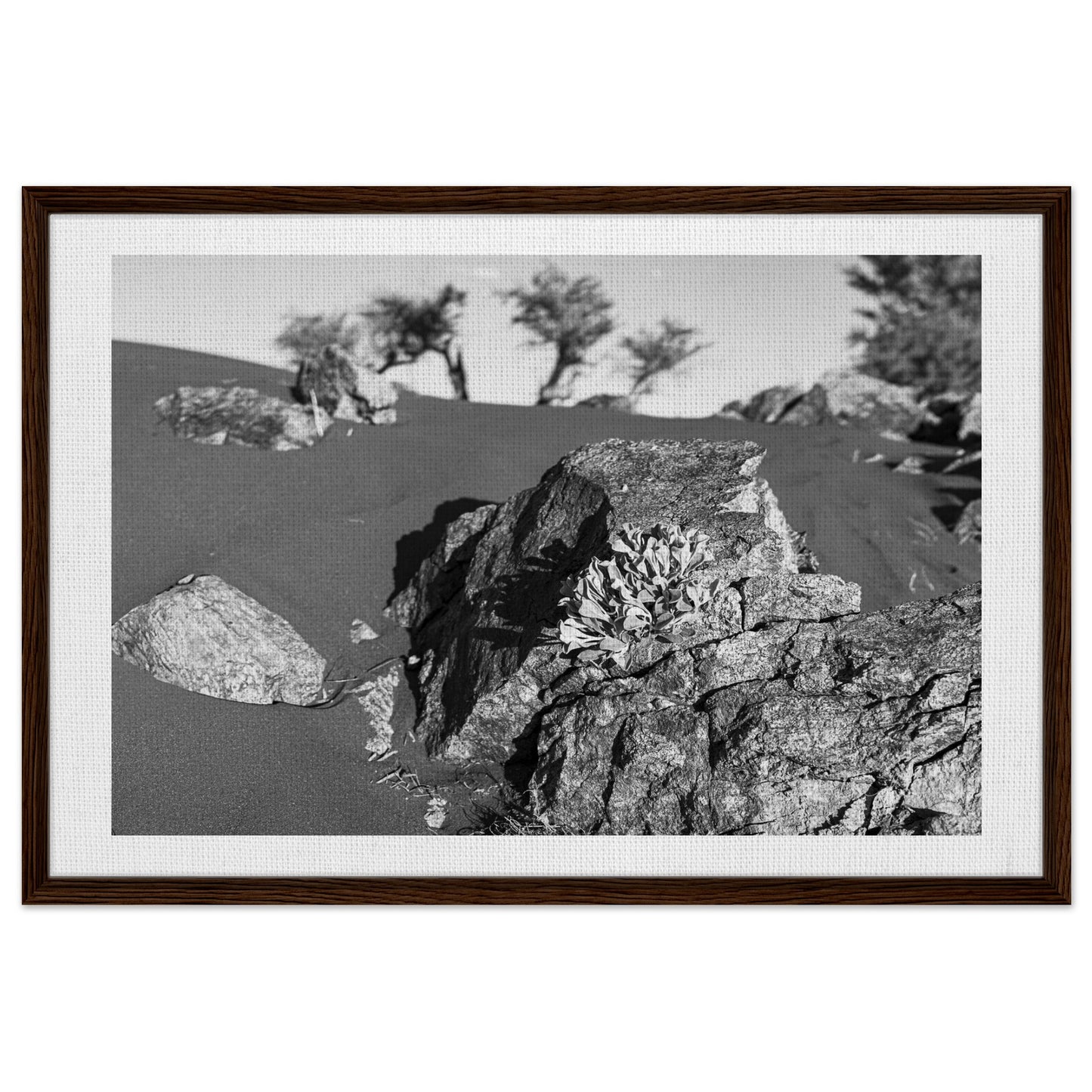 3d787d6d-60a2-40fc-8ccc-36f0400d0217