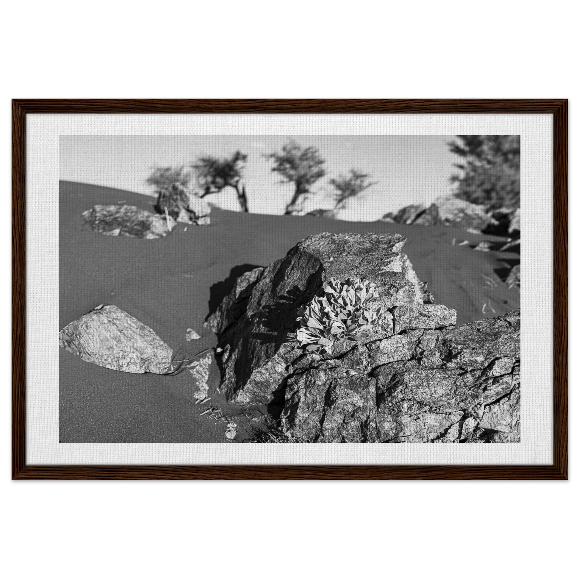 3d787d6d-60a2-40fc-8ccc-36f0400d0217