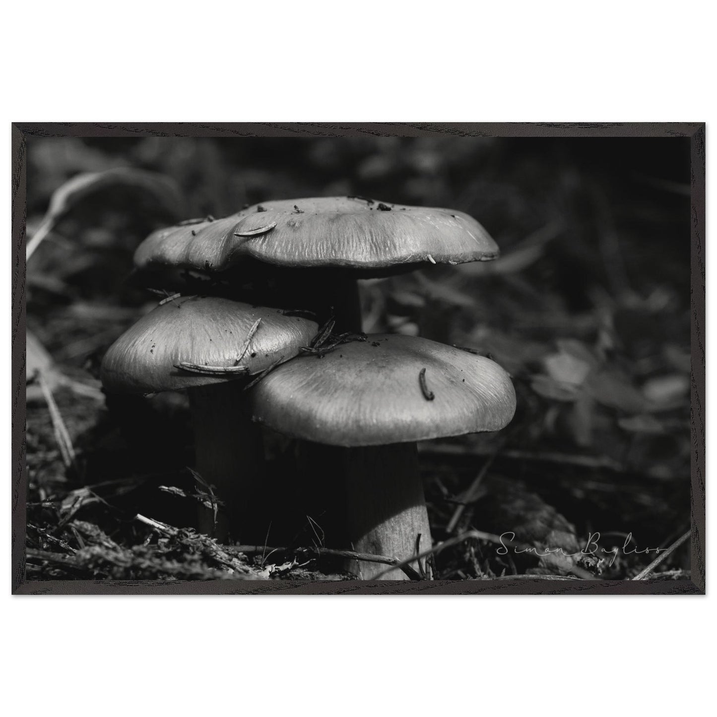 3dc886ae-4459-4460-8c96-4678081b1349