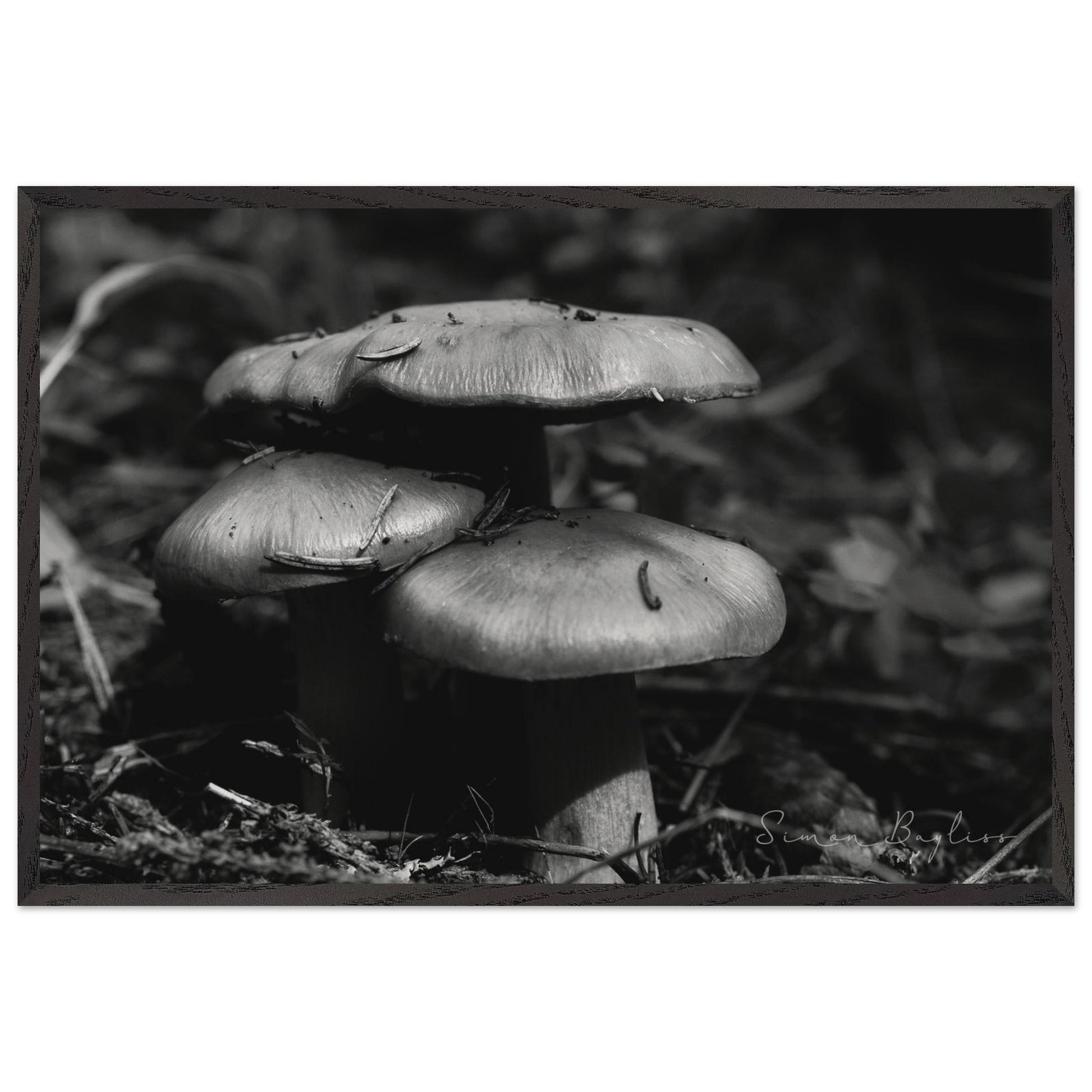 3dc886ae-4459-4460-8c96-4678081b1349