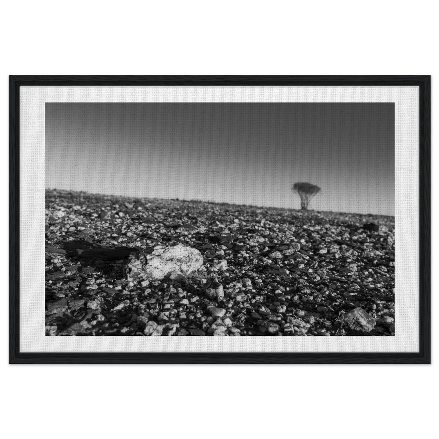 3e45f737-c435-4f0c-93b1-9a202ce44ff3