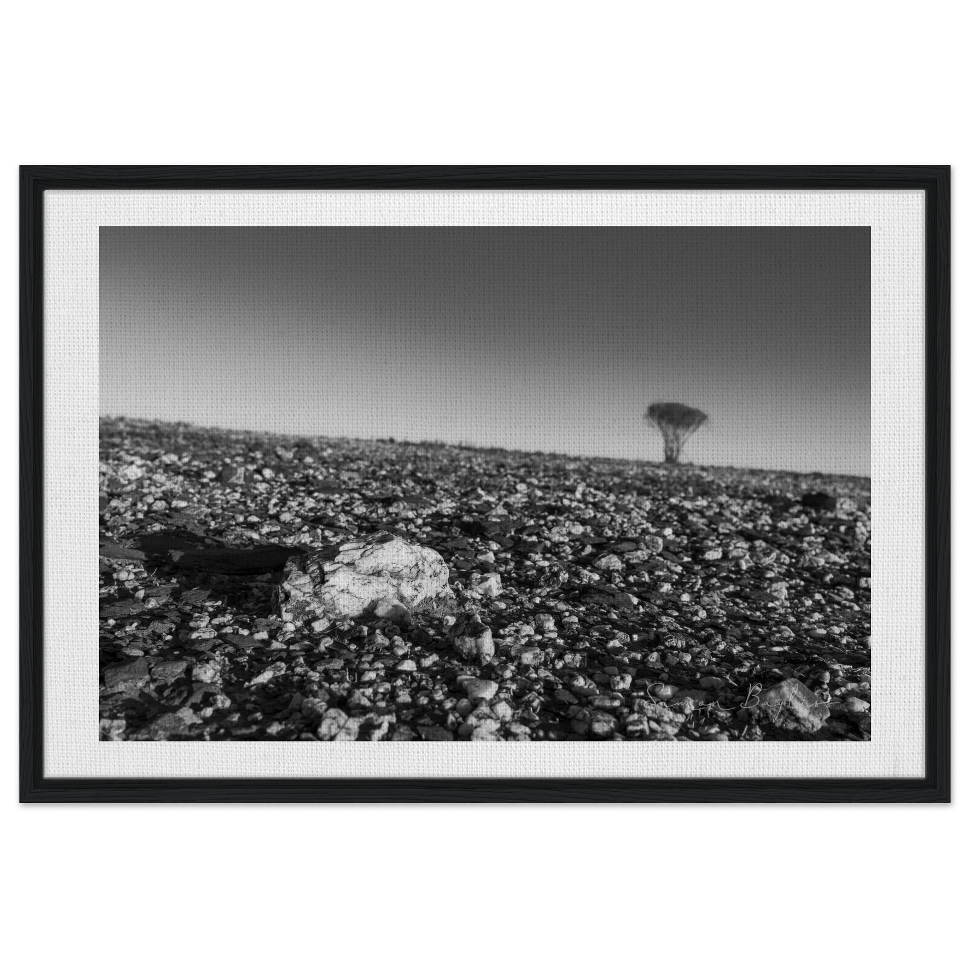 3e45f737-c435-4f0c-93b1-9a202ce44ff3