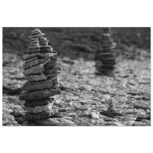 3e96d333-7886-4e81-b153-21ebc44359a5