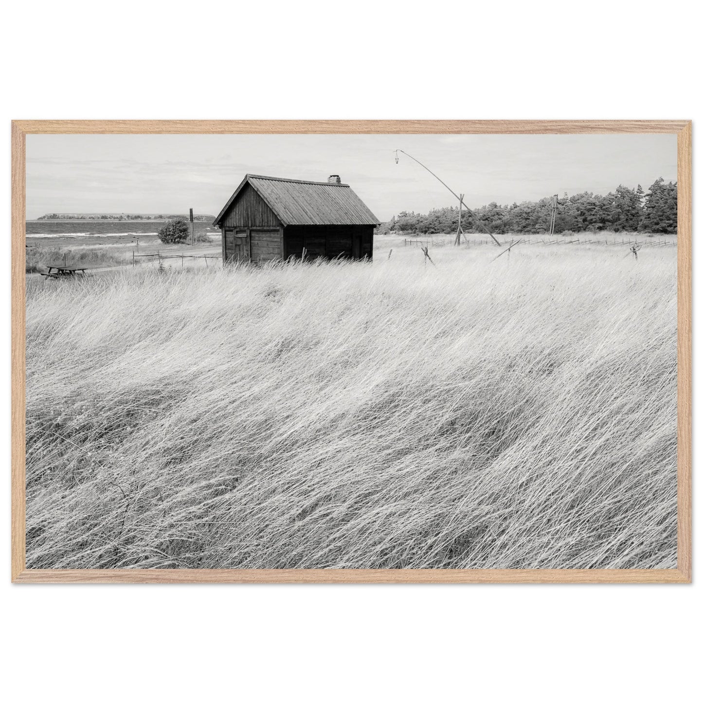 3ef8c3e3-b6f9-4d21-839e-1d46444f25a9